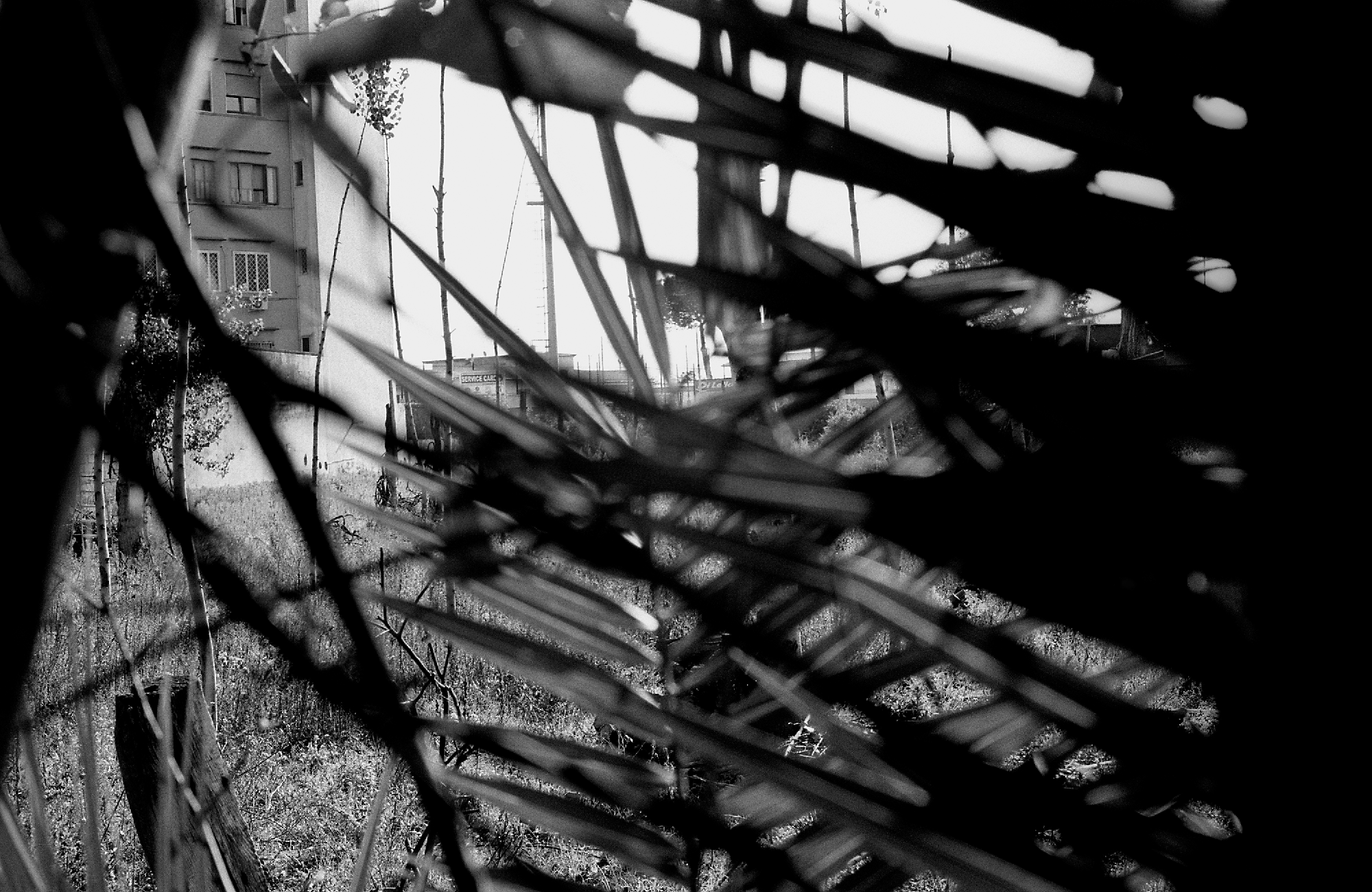 Italian toxic waste/Please Do Not Use