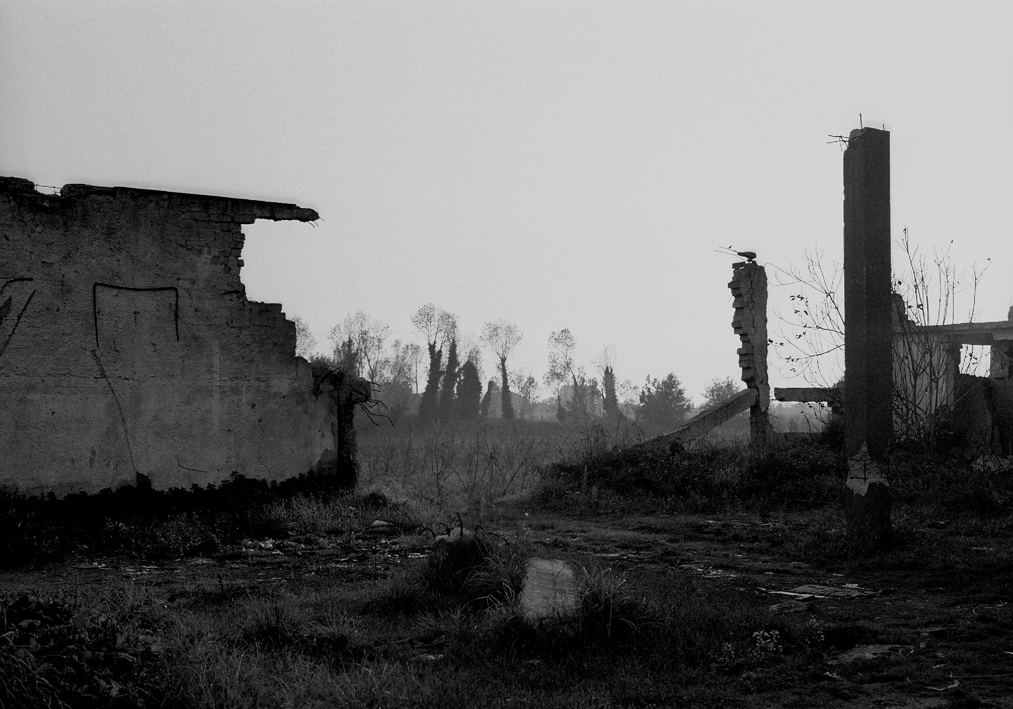 Italian toxic waste/Please Do Not Use