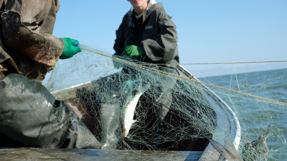 New restrictions have limited the amount of time fishermen can spend at sea, limiting their income [Nikolay Korzhov/Al Jazeera]