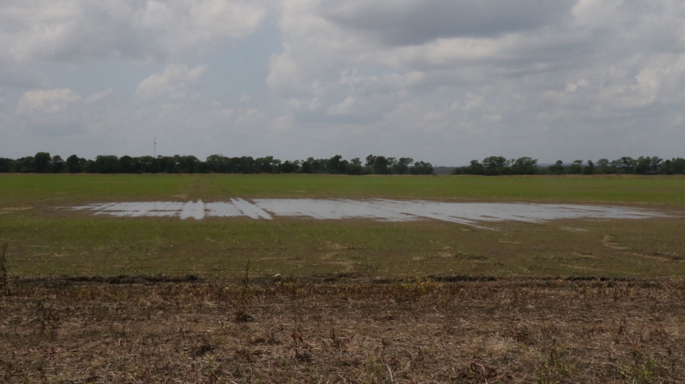 The heaviest rainfall in decades has delayed crop planting on many US farms