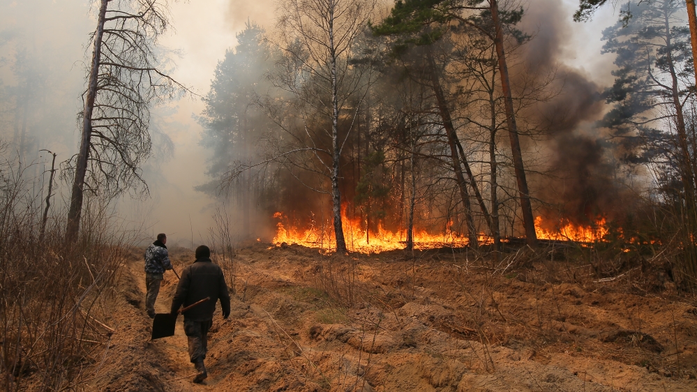 Forest fire in Ukraine''s Ragovka