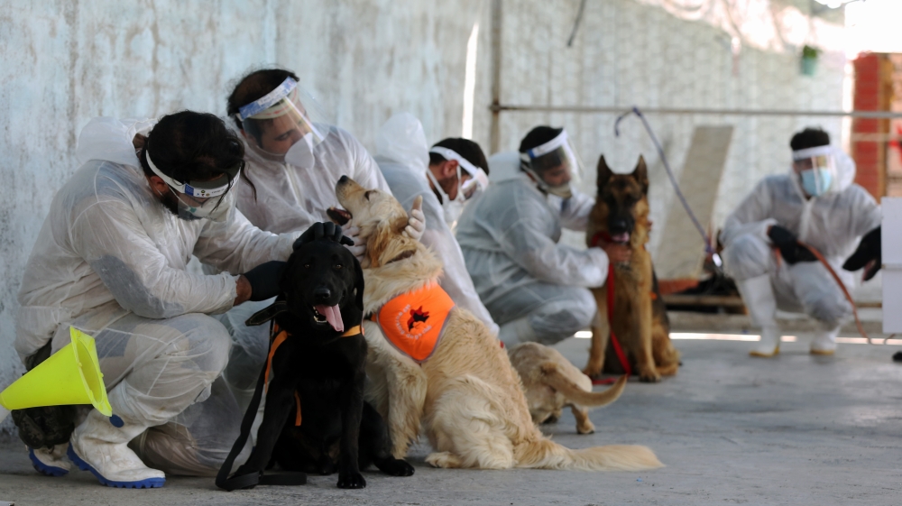 Dogs in Iran trained to sniff out Covid-19