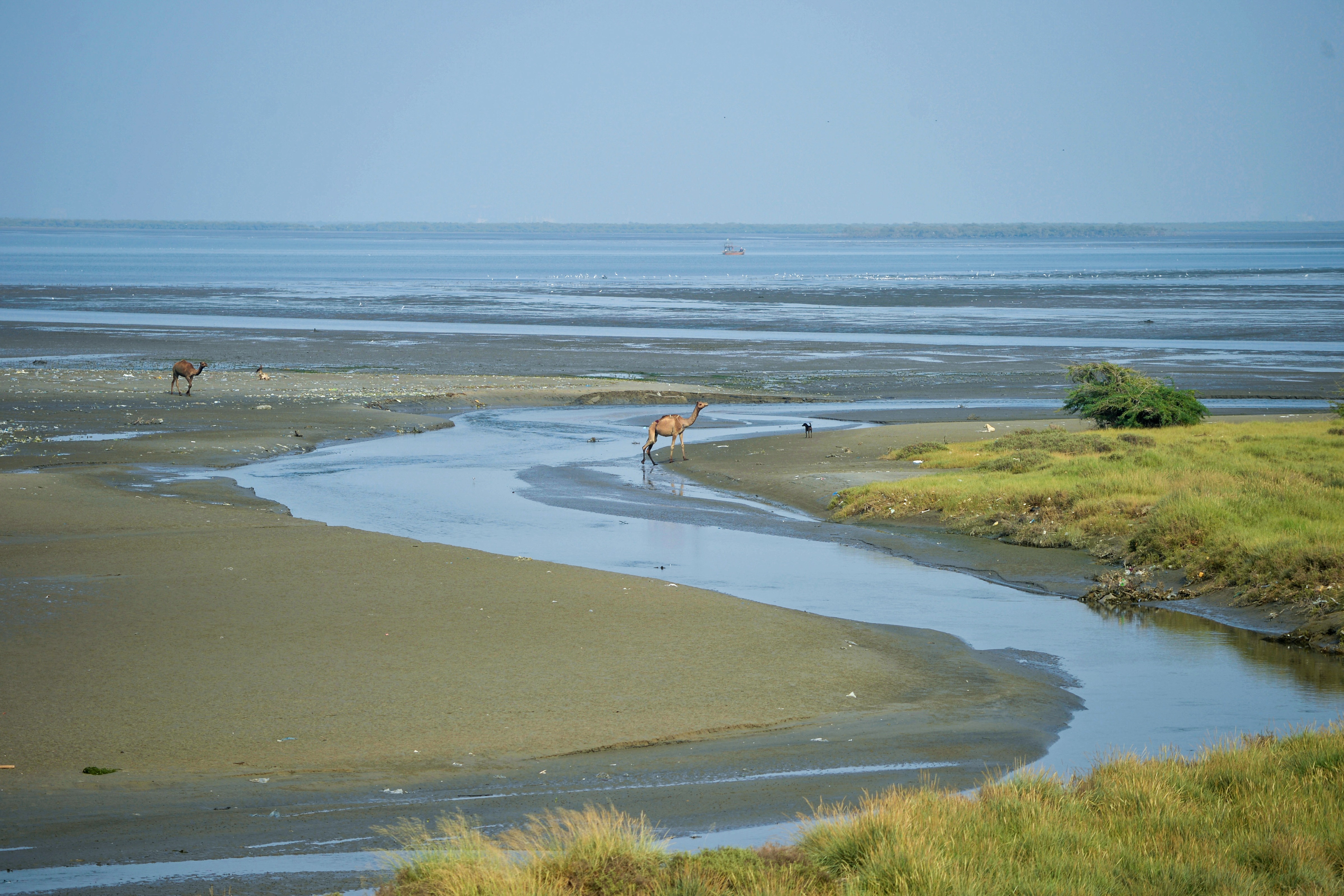 Bundle Island is at risk, with Prime Minister Khan determined to turn it into a huge real-estate project