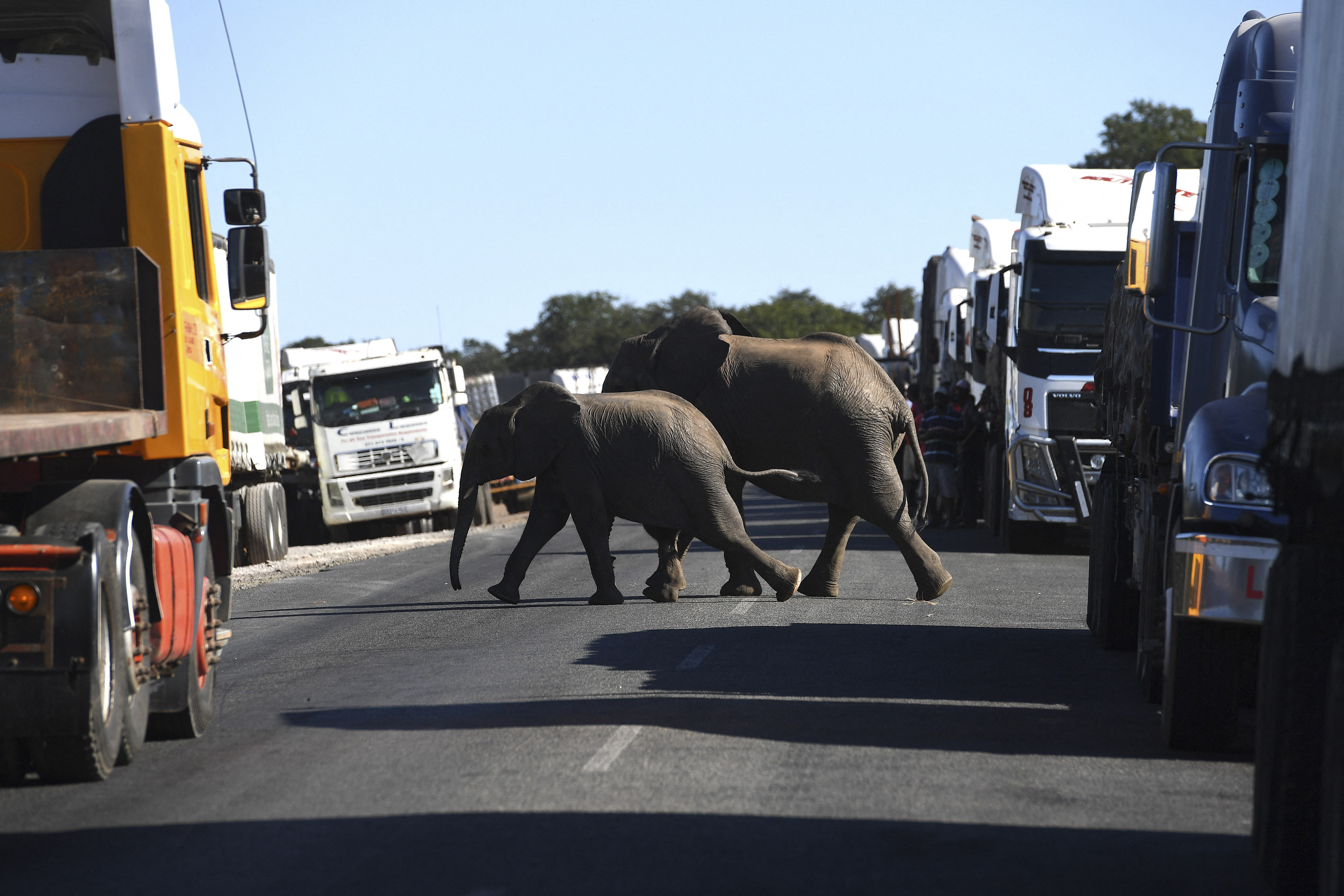 The bridge will facilitate intra-regional freight transport by allowing trucks to bypass the notorious Beitbridge border post between Zimbabwe and South Africa, which is perennially congested