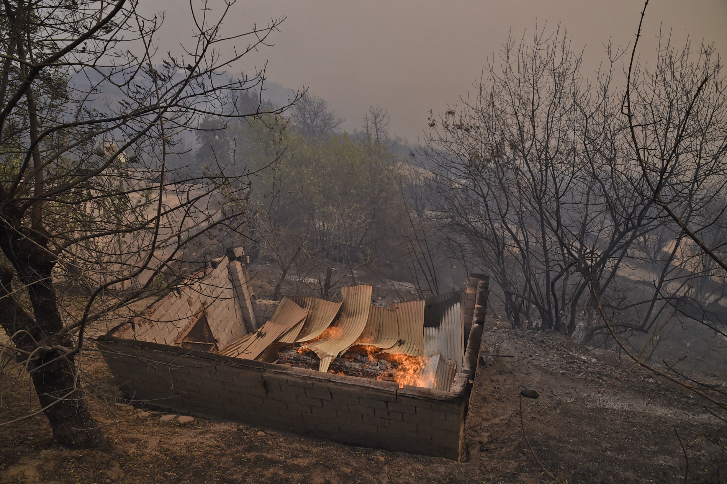 Dozens of blazes sprang up Monday in Kabyle and elsewhere