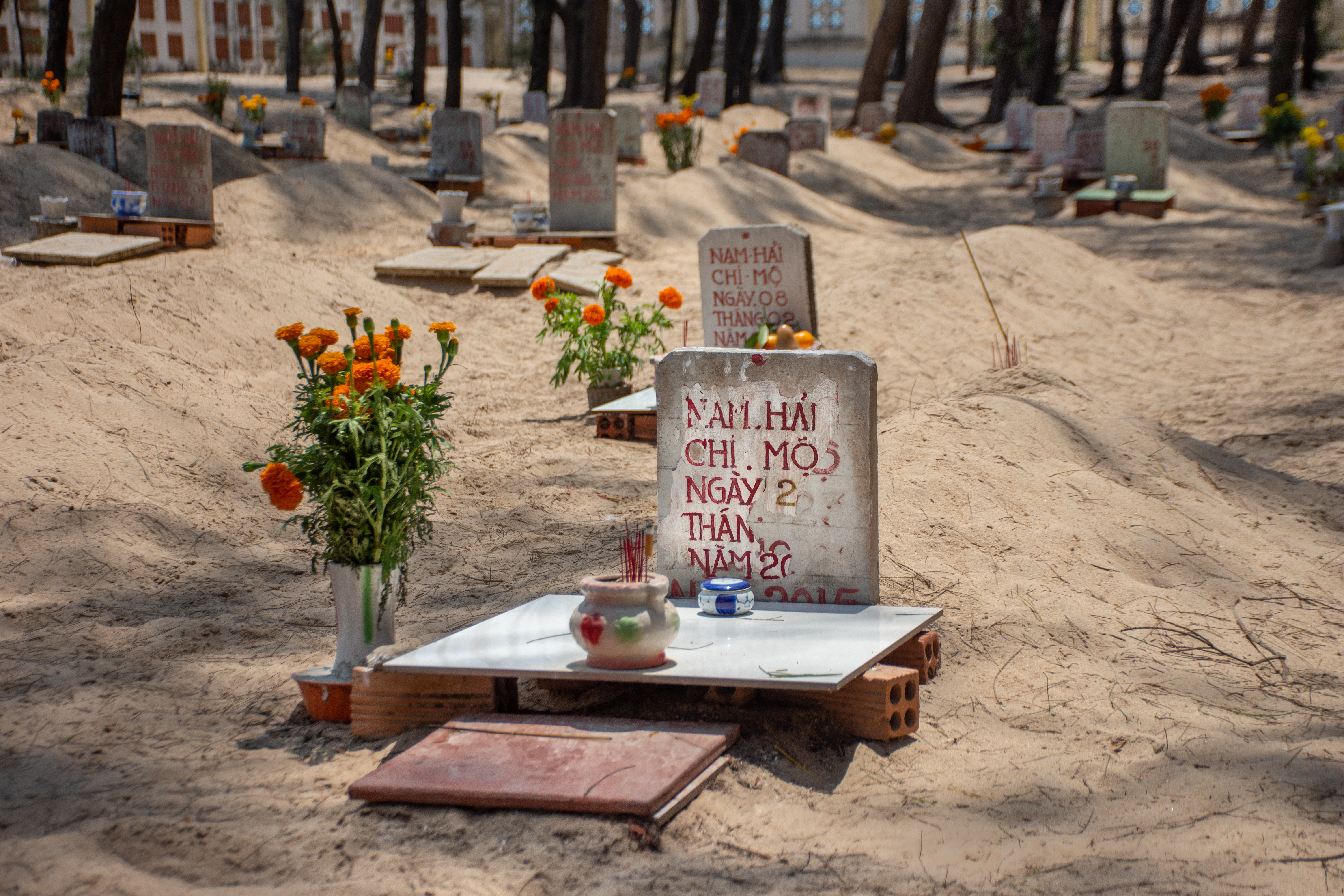 A photo of Phuoc Hai’s whale graveyard, a few dozen graves rise in little hillocks in the sand with headstones displaying the name of the fisherman that found the whale, the boat’s registration number, and the date of death.