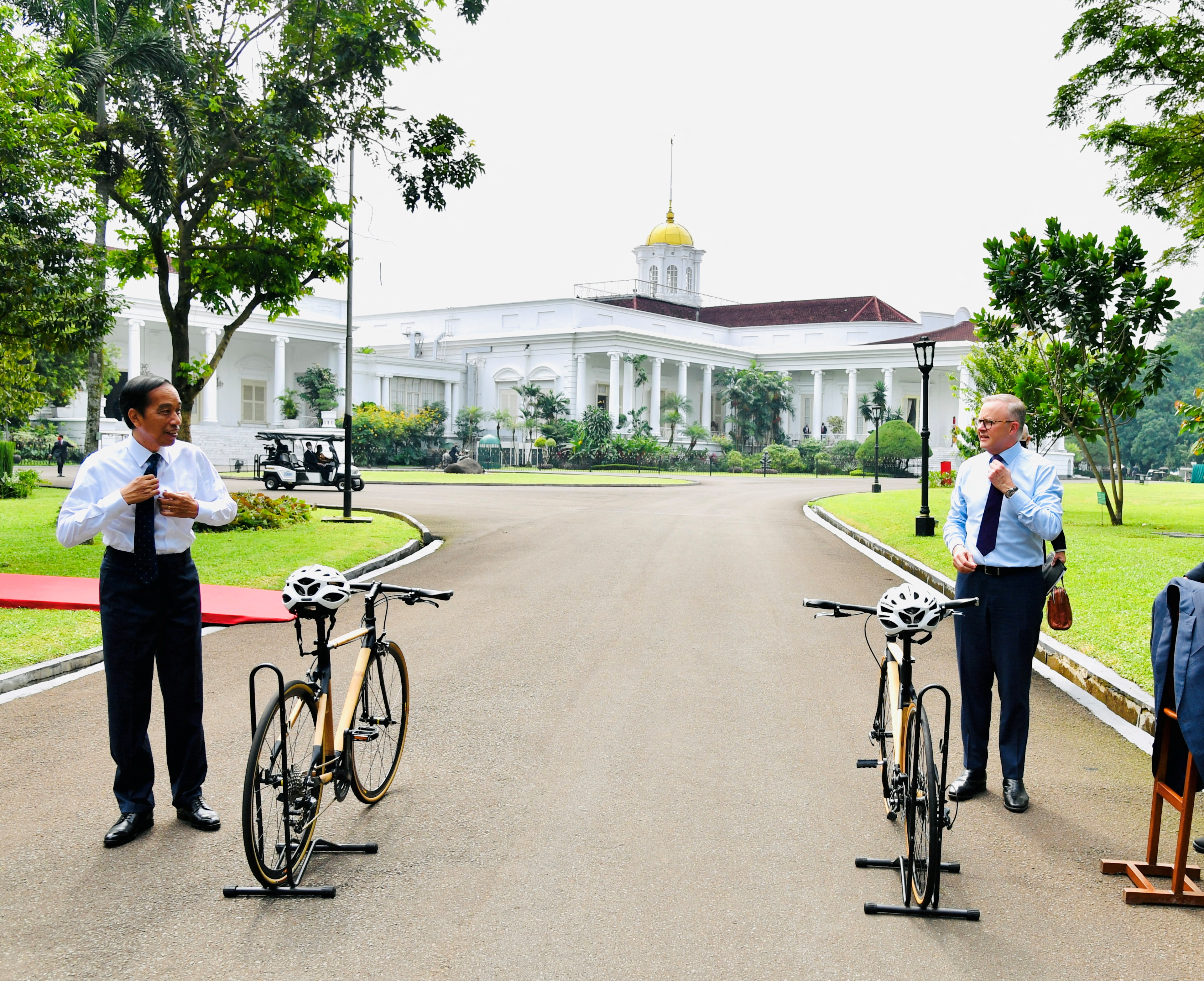 Albanese in Indonesia 