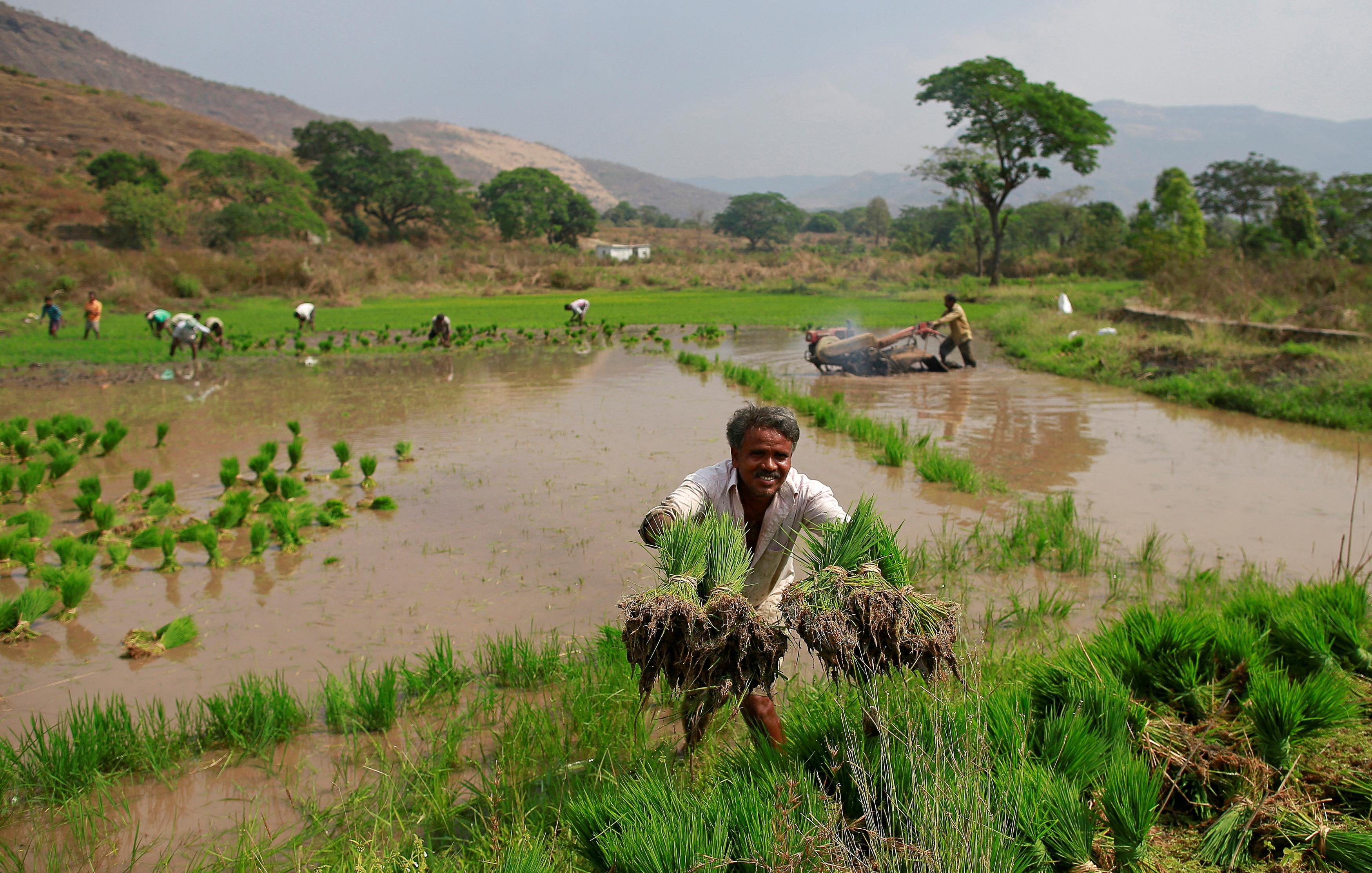 Crop damage is likely to push already rising food prices up further