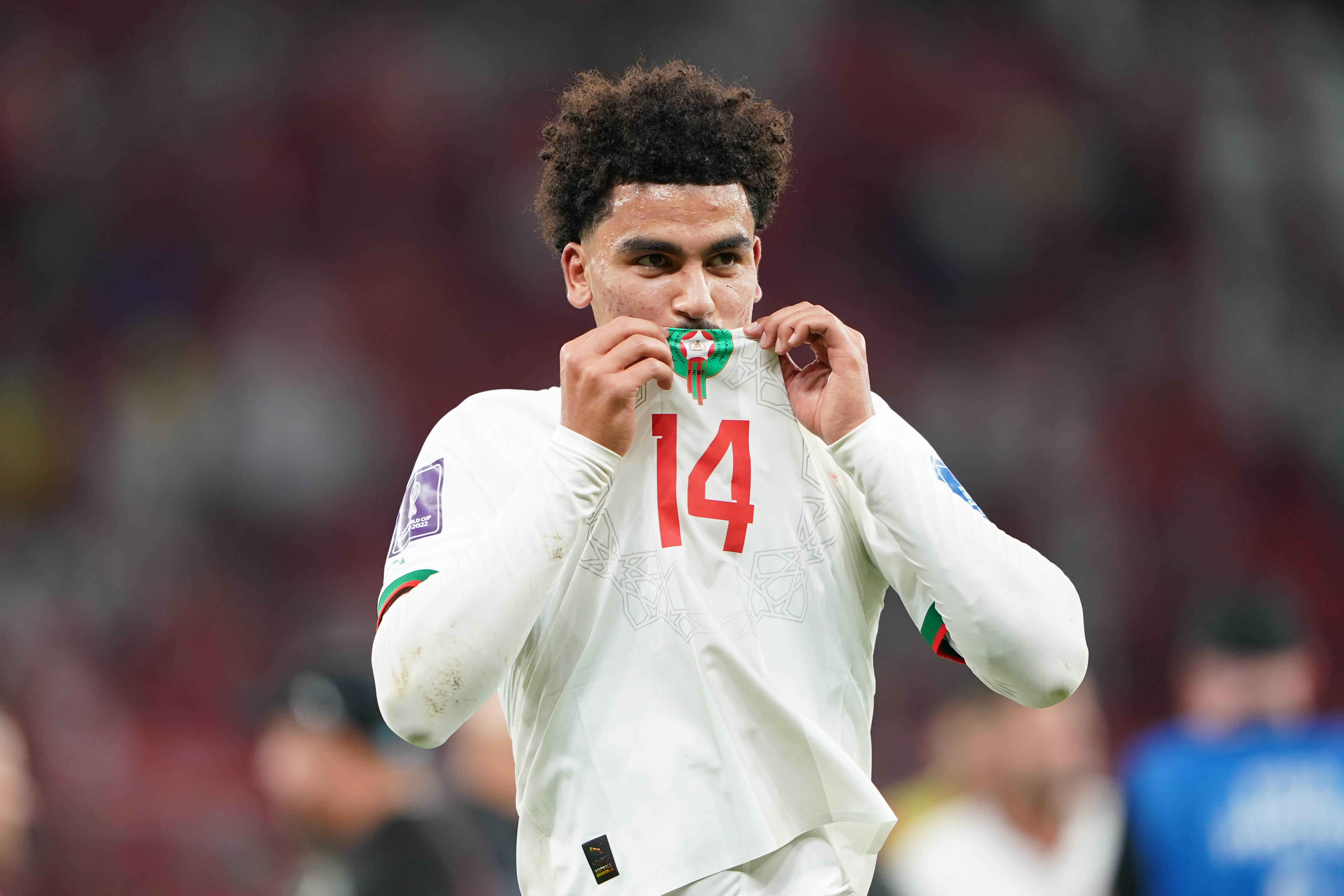 belgium vs morocco