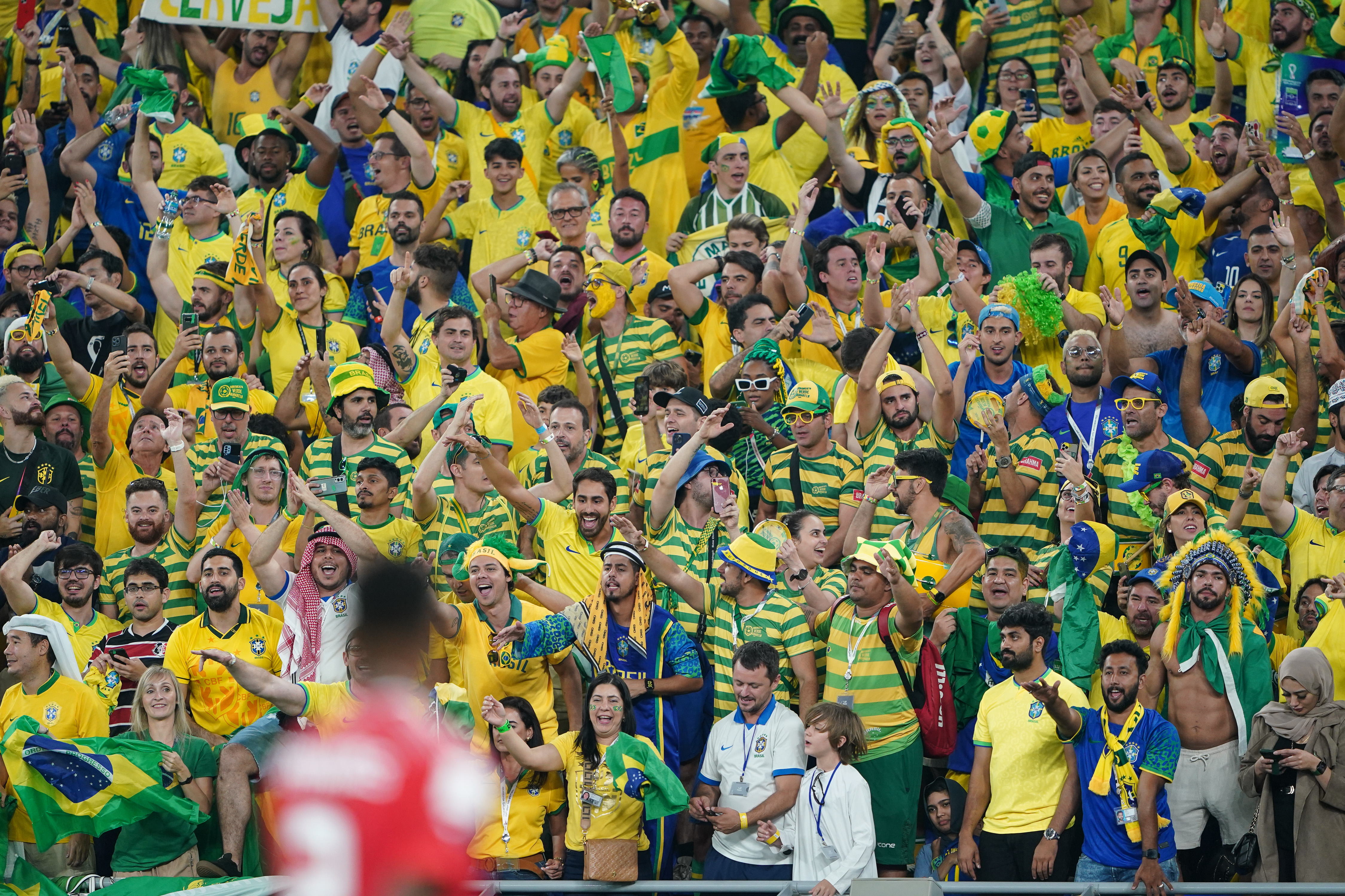 brazil fans