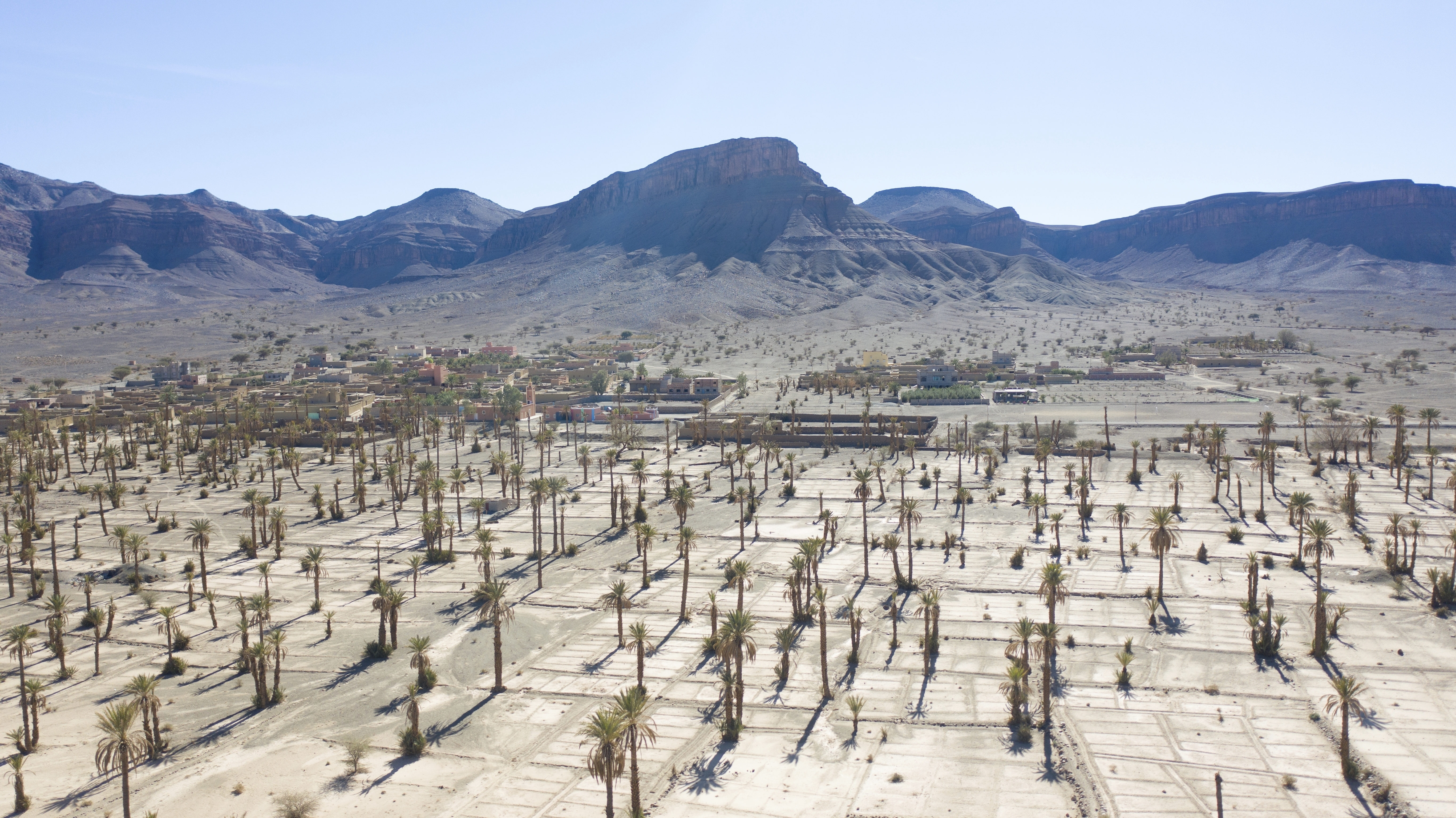 Dead palm trees are visible in the Nkob town