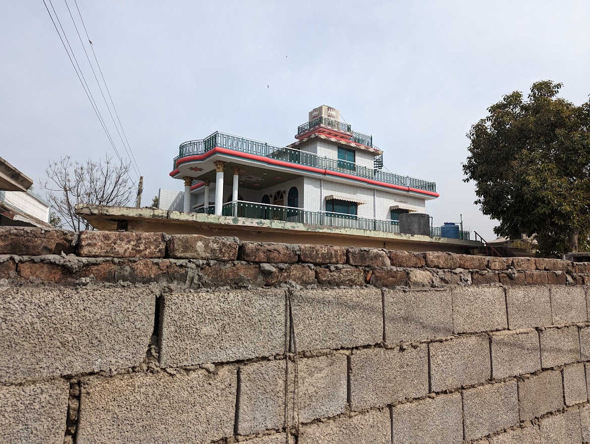 One of Bhatial’s villas tower over its surrounding wall. Zubeida cleans villas like these and watches the birds and squirrels build their homes in them when they are empty