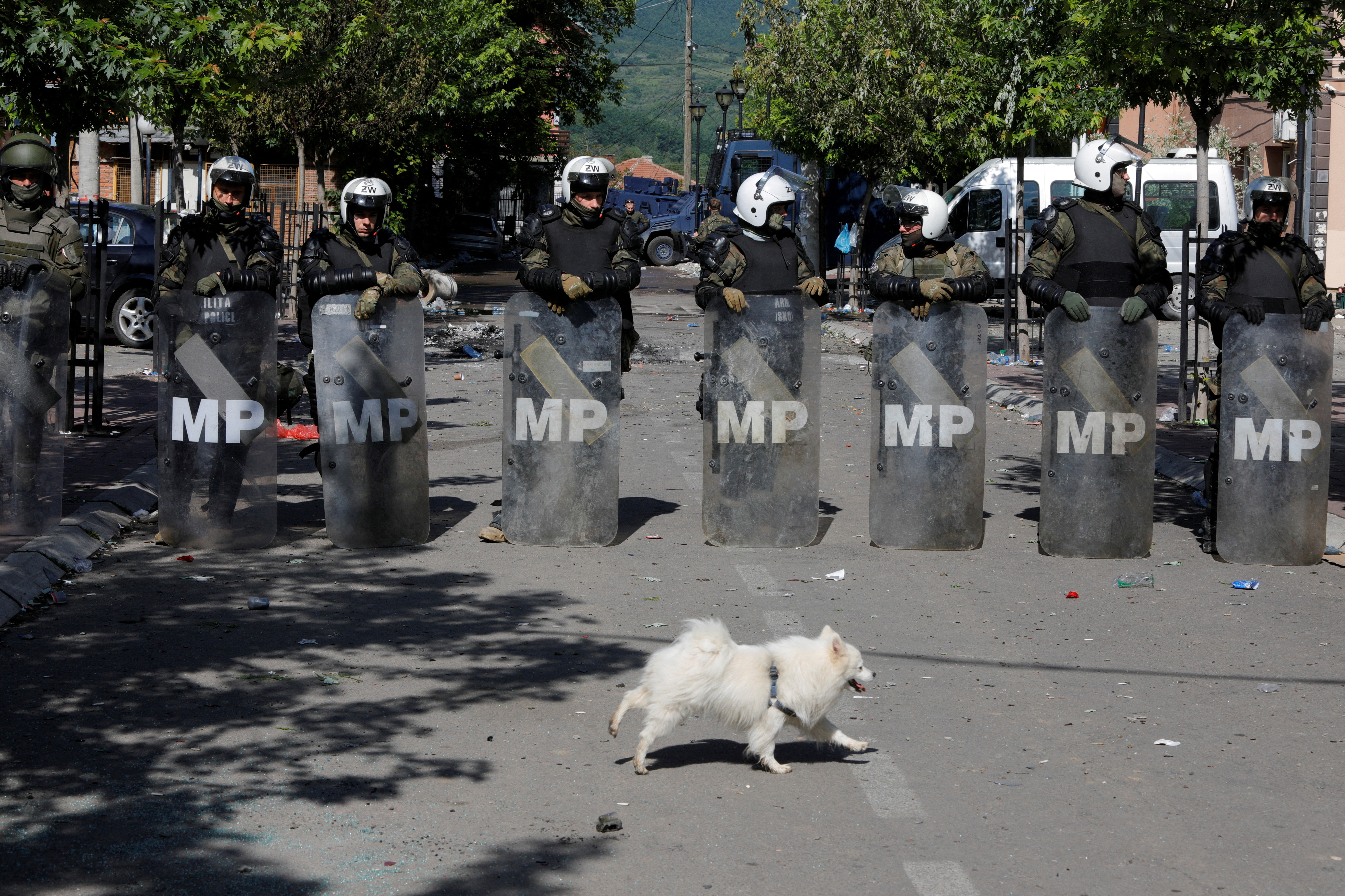 A dog walks by Polish Kosovo Force (KFOR) soldiers standing guard at a municipal office in Zvecan