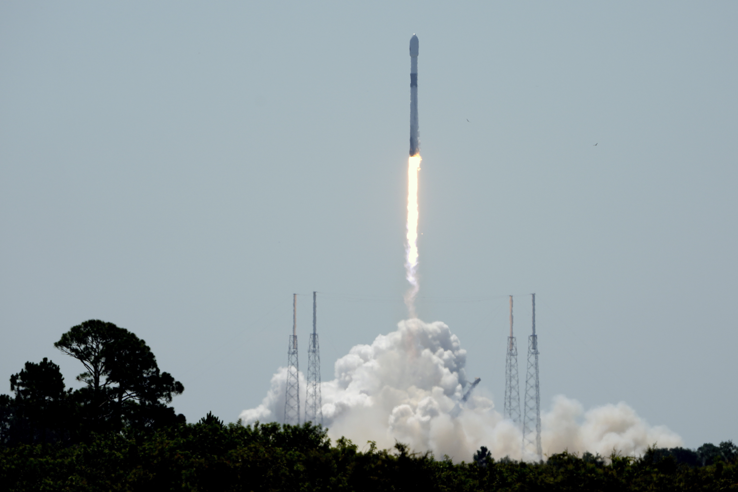 A SpaceX Falcon 9 rocket, with the European Space Agency Euclid space telescope, lifts off from pad 40 at the Cape Canaveral Space Force Station in Cape Canaveral, Fla., Saturday, July 1, 2023.