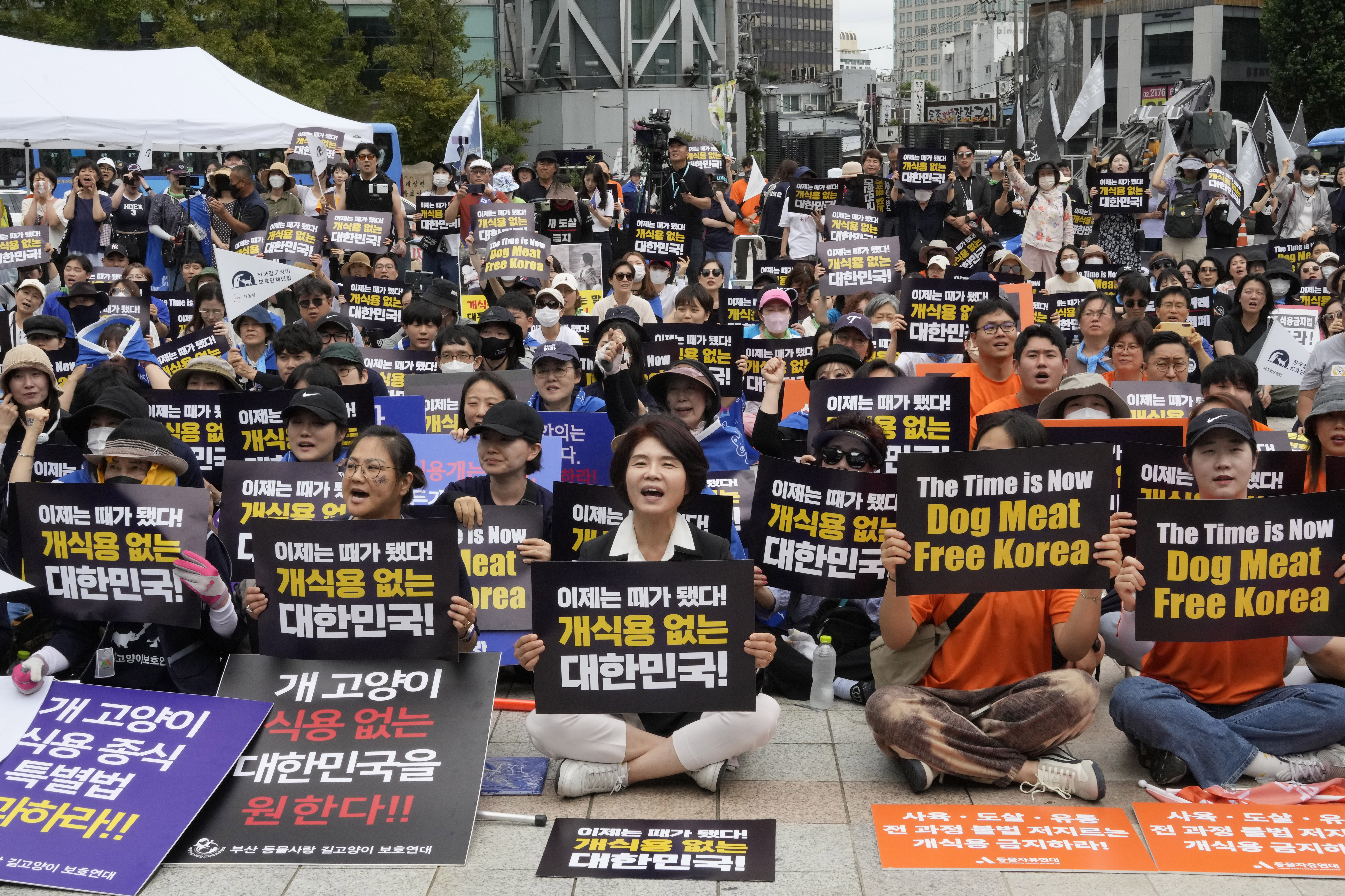 South Korea Dog Meat