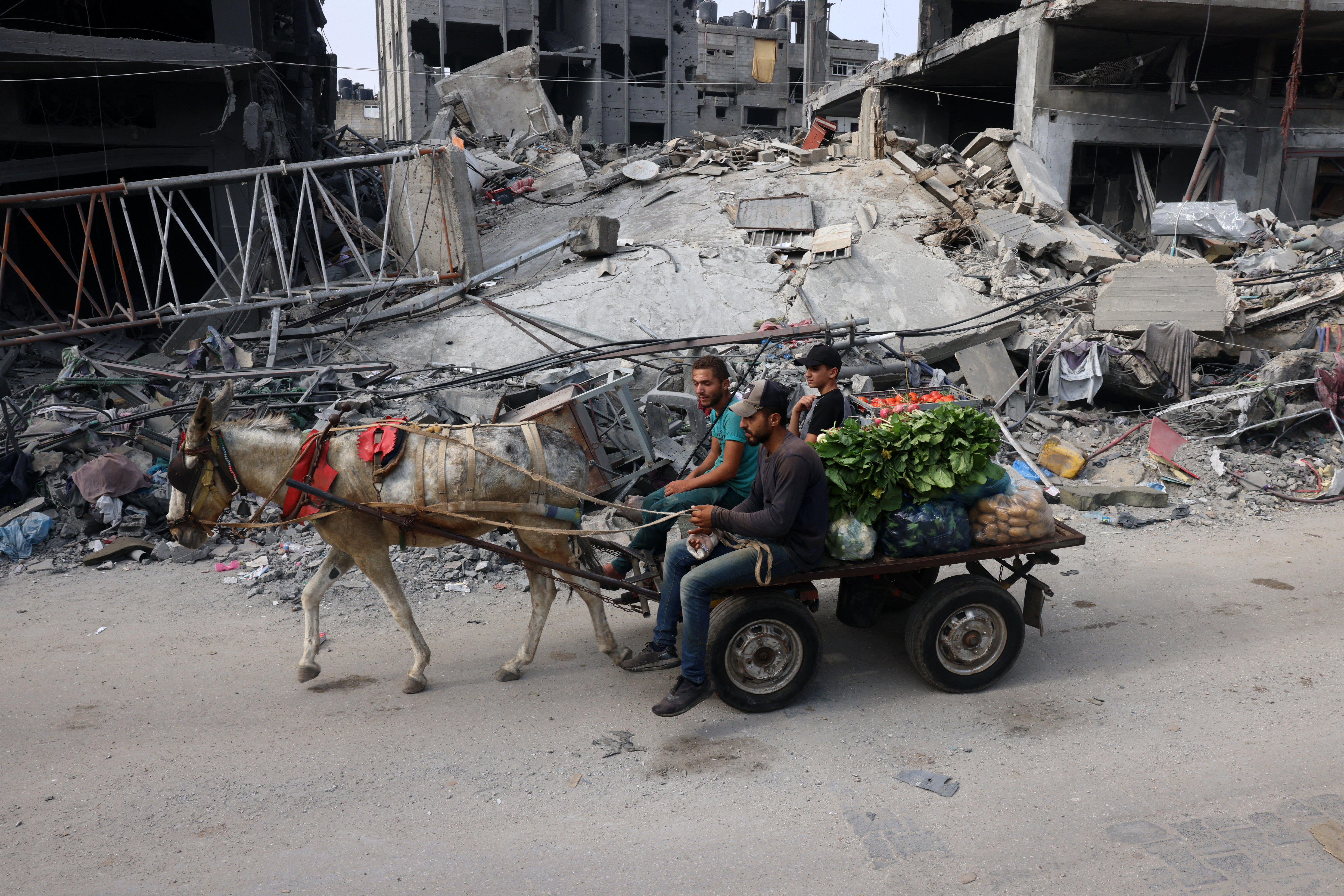 Vegetable vendors ride a donkey-pulled cart past a destroyed building in the aftermath of Israeli bombing in Rafah in the southern Gaza Strip