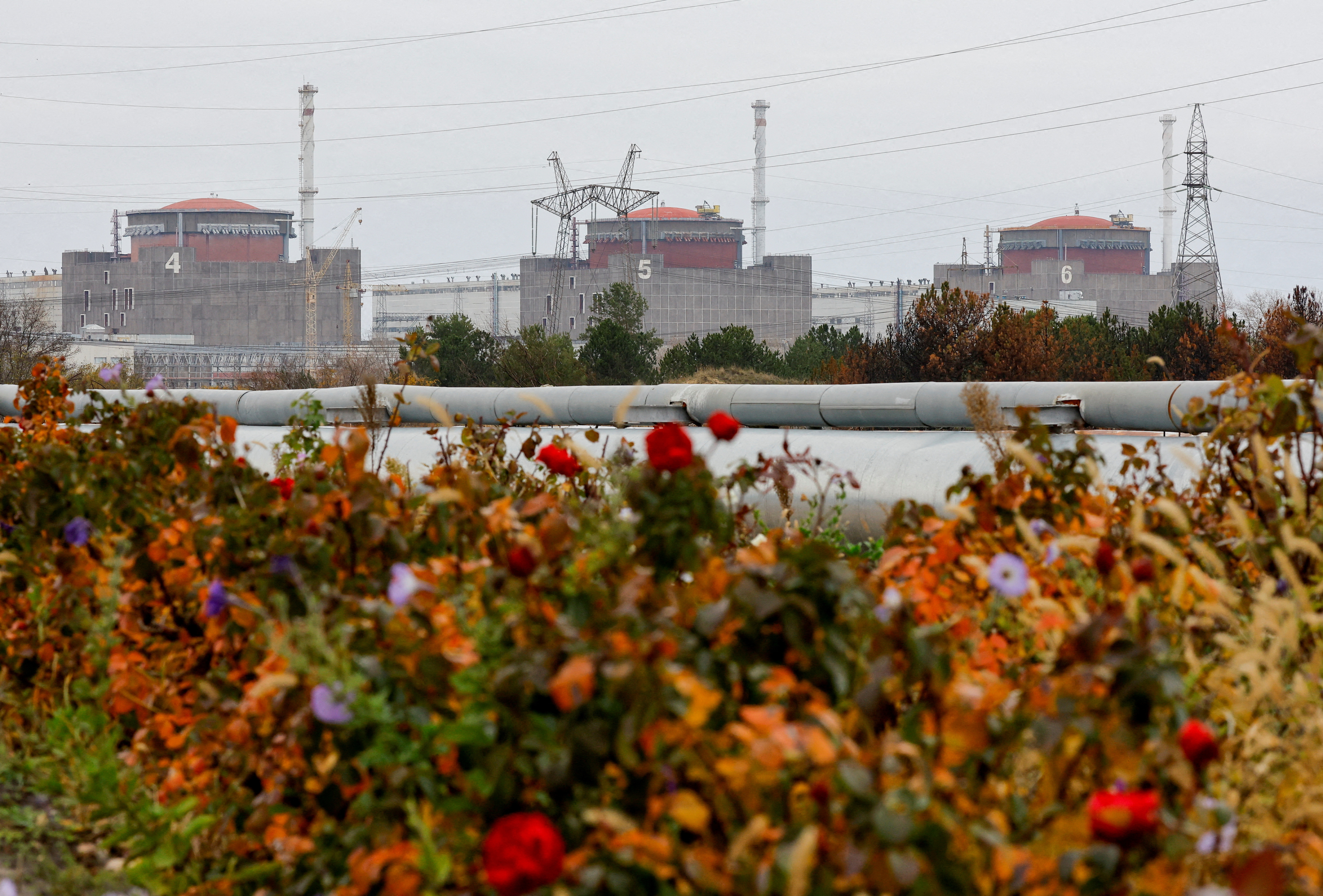 The Zaporizhzhia Nuclear Power Plant