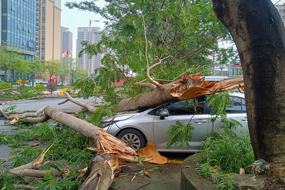 Highest-level rainstorm warning issued in south China's Guangdong
