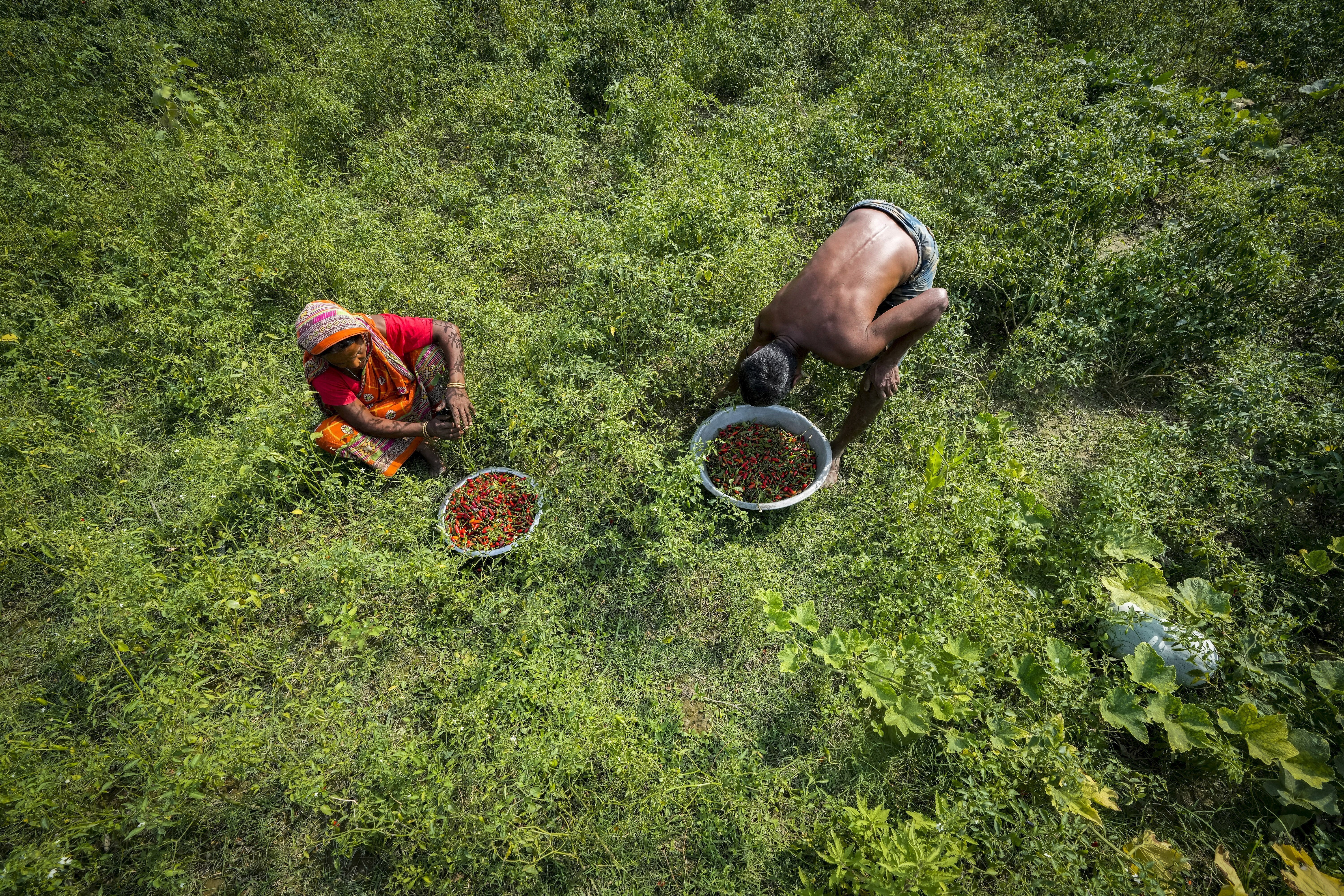 India's river islanders return home in between floods