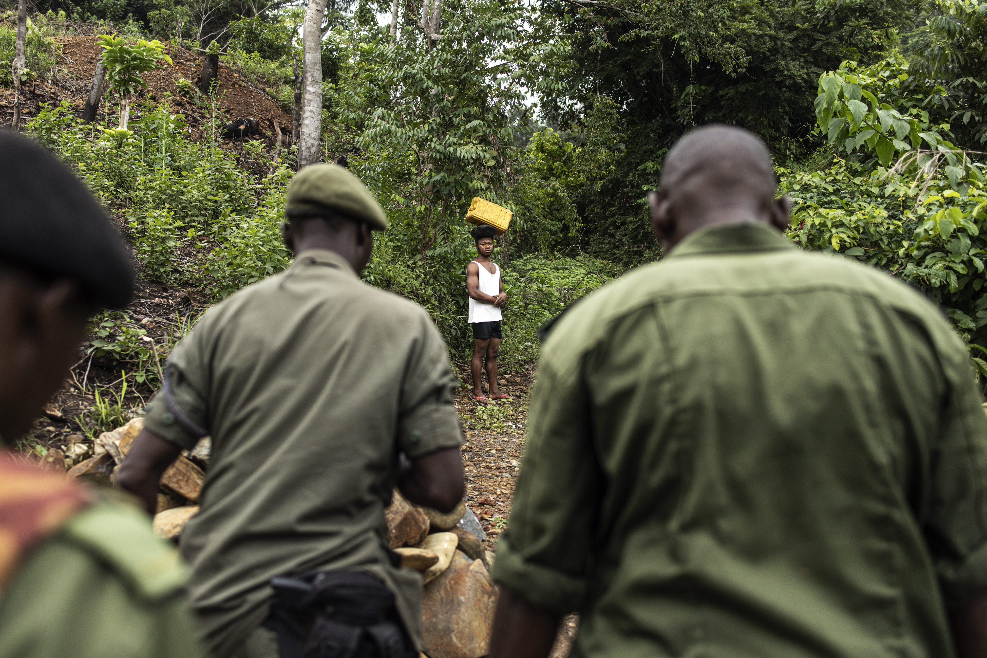 Sierra Leone rangers face a tough fight against deforestation