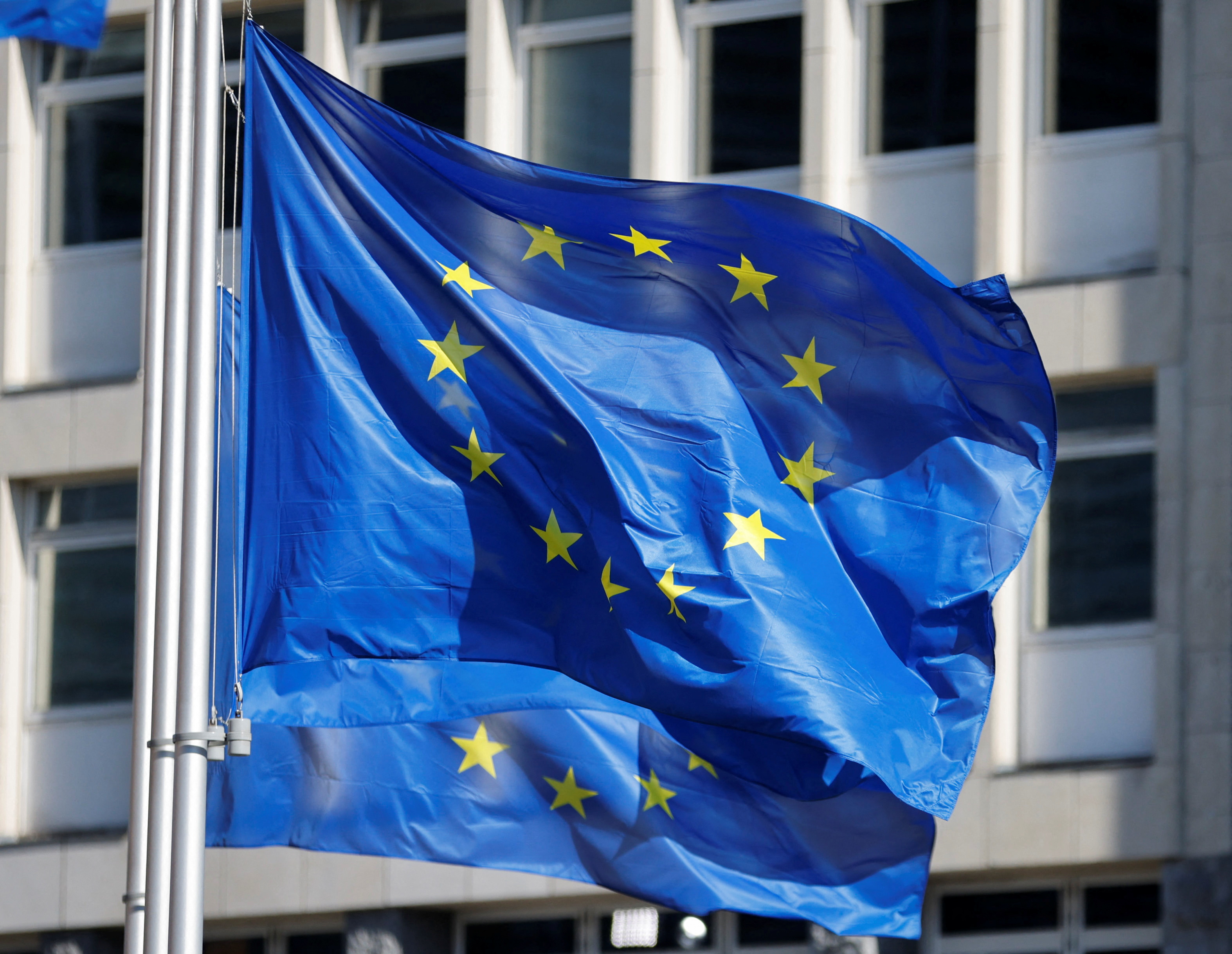 EU flags