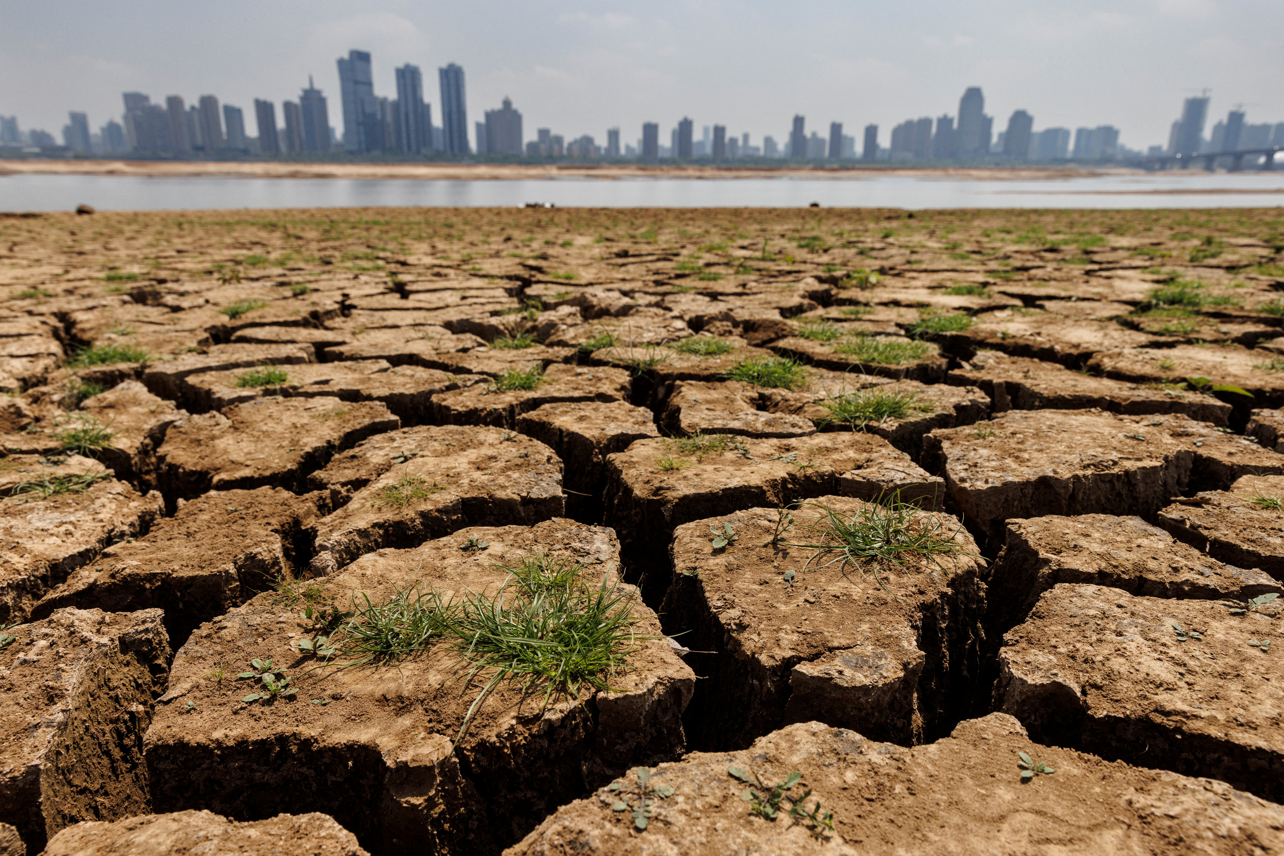 Cracks run through the partially dried-up river bed of the Gan River, a tributary to Poyang Lake during a regional drought in Nanchang, Jiangxi province, China, August 28, 2022. REUTERS/Thomas Peter