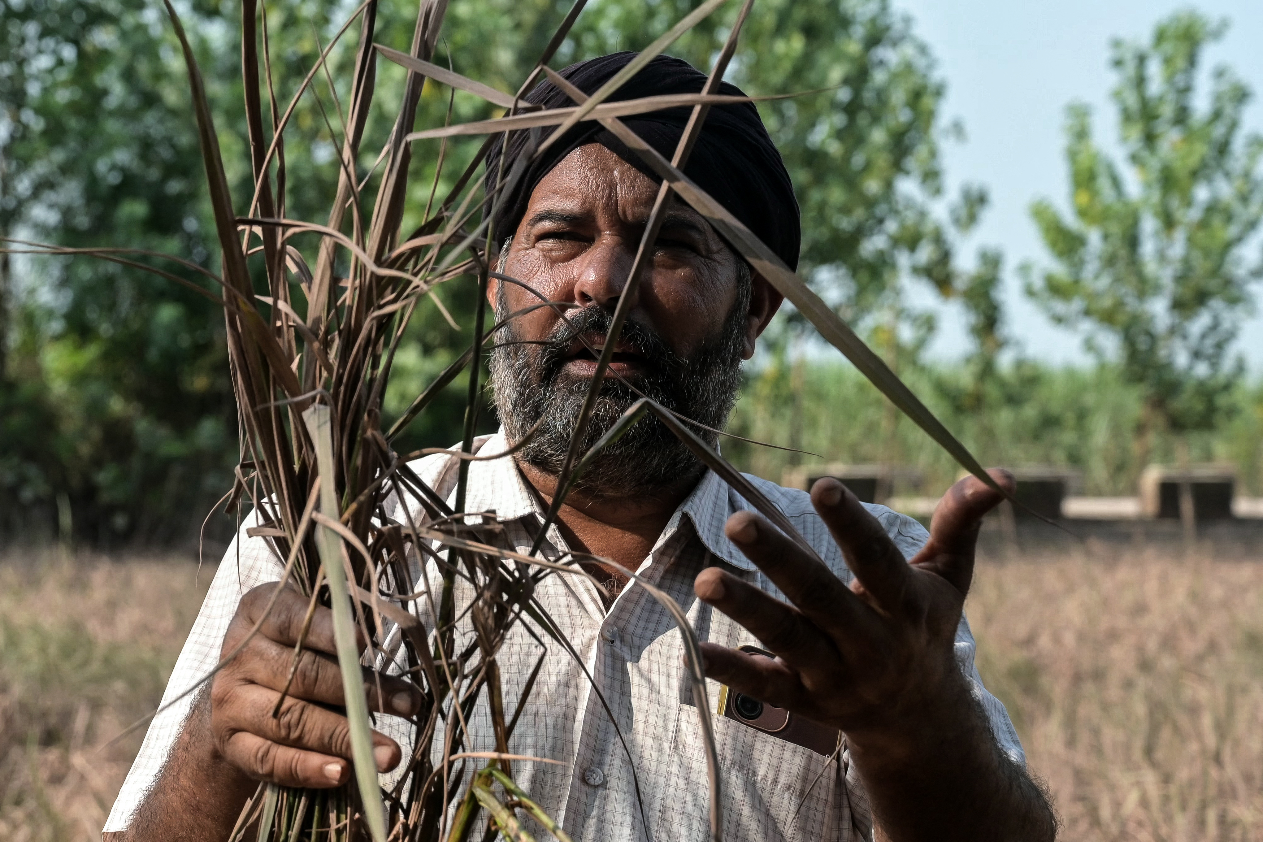 A farmer shows his crops, damaged by floodwaters.
