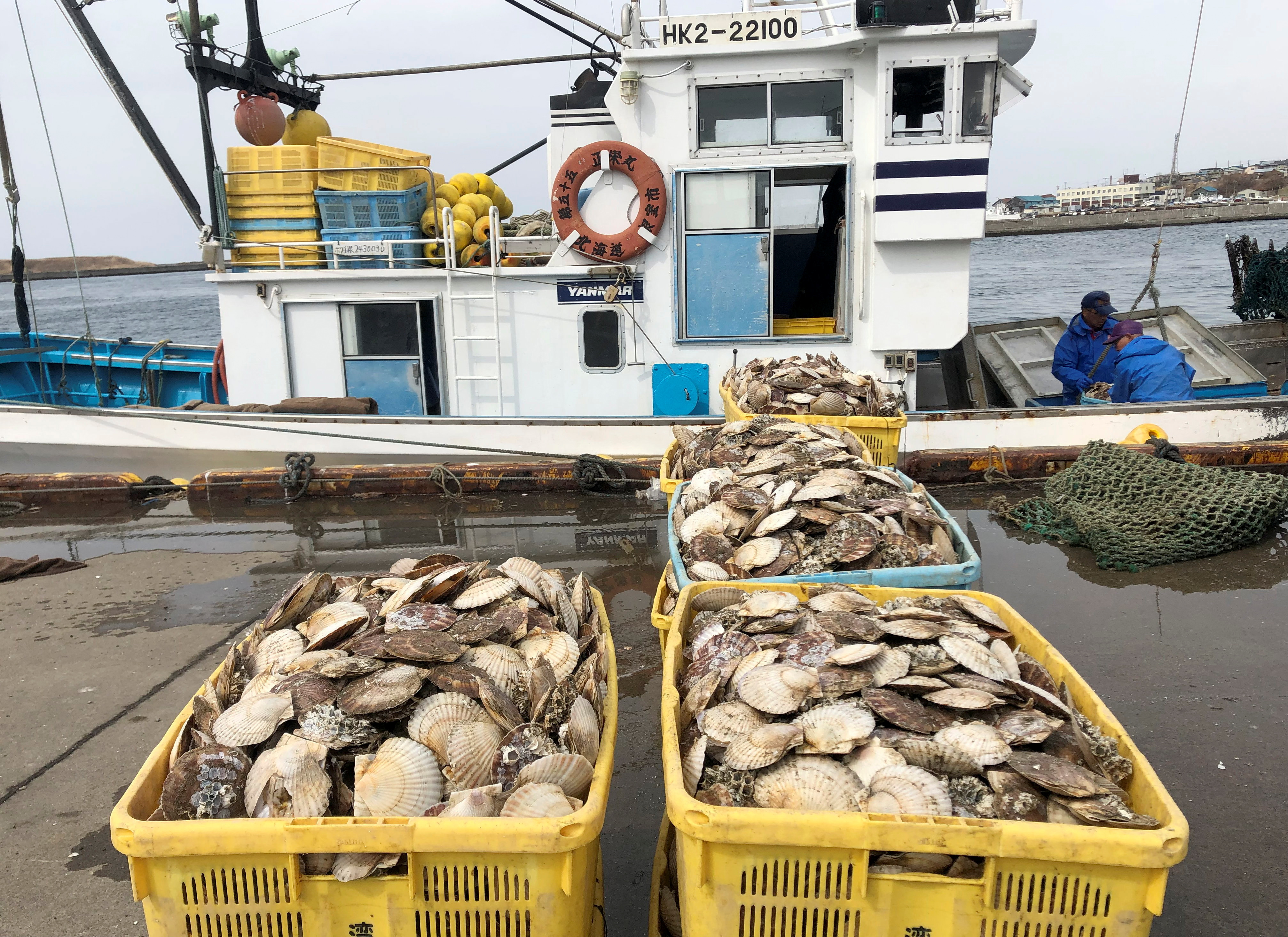 Scallops in yellow baskets next to a fishing boat at a port.