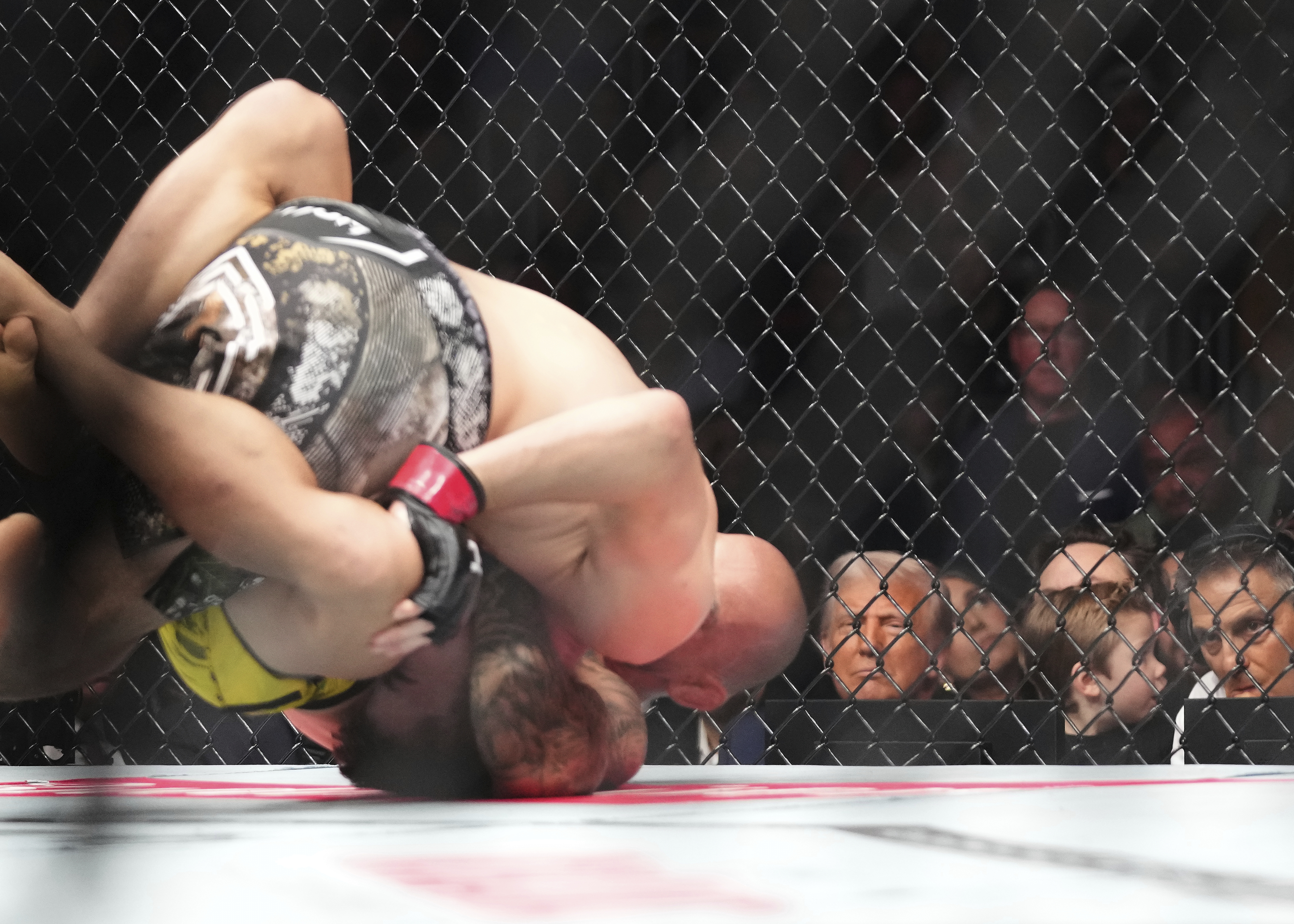 Trump watches a wrestling match