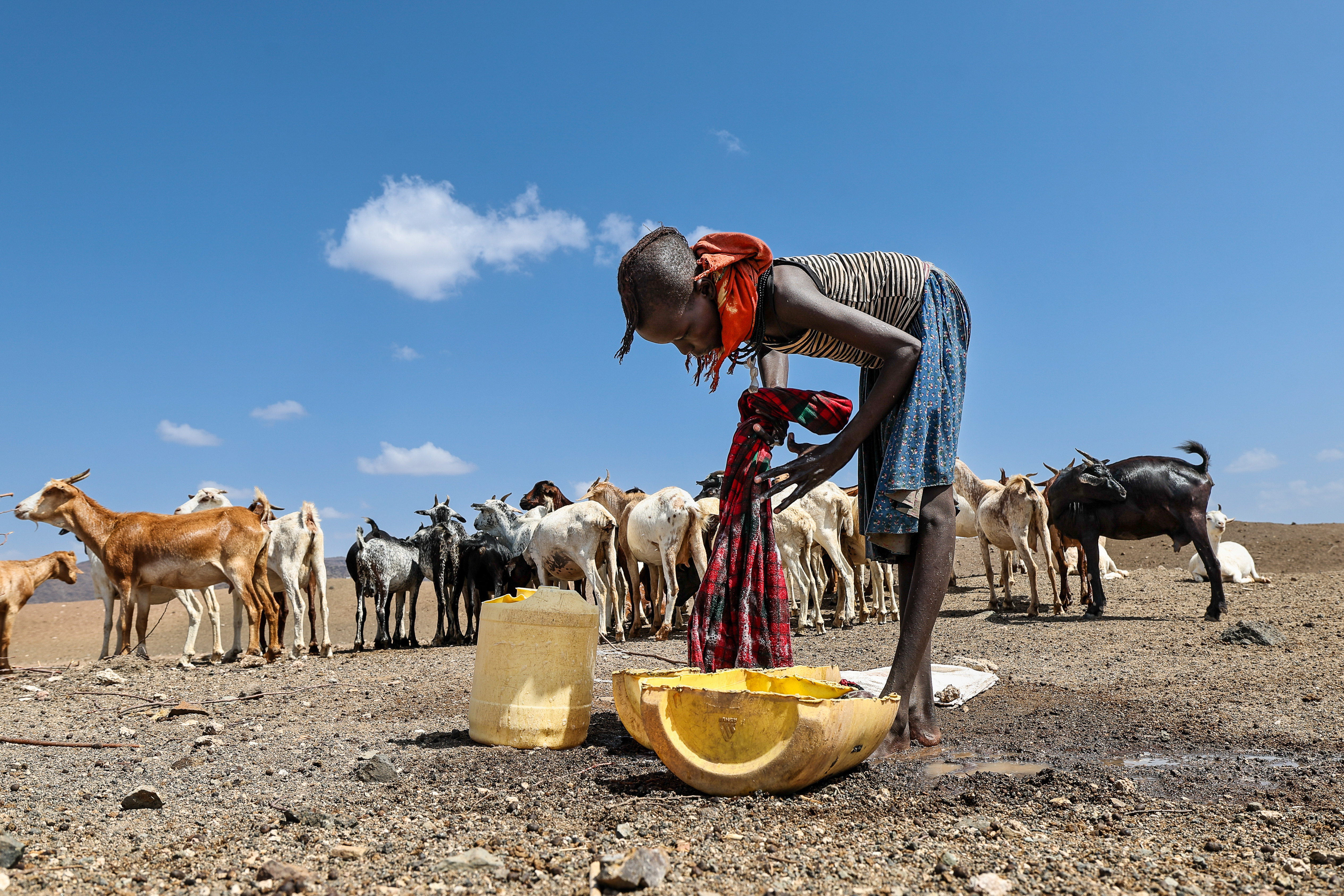 Severe drought leaves over two million Kenyans hungry and desperate