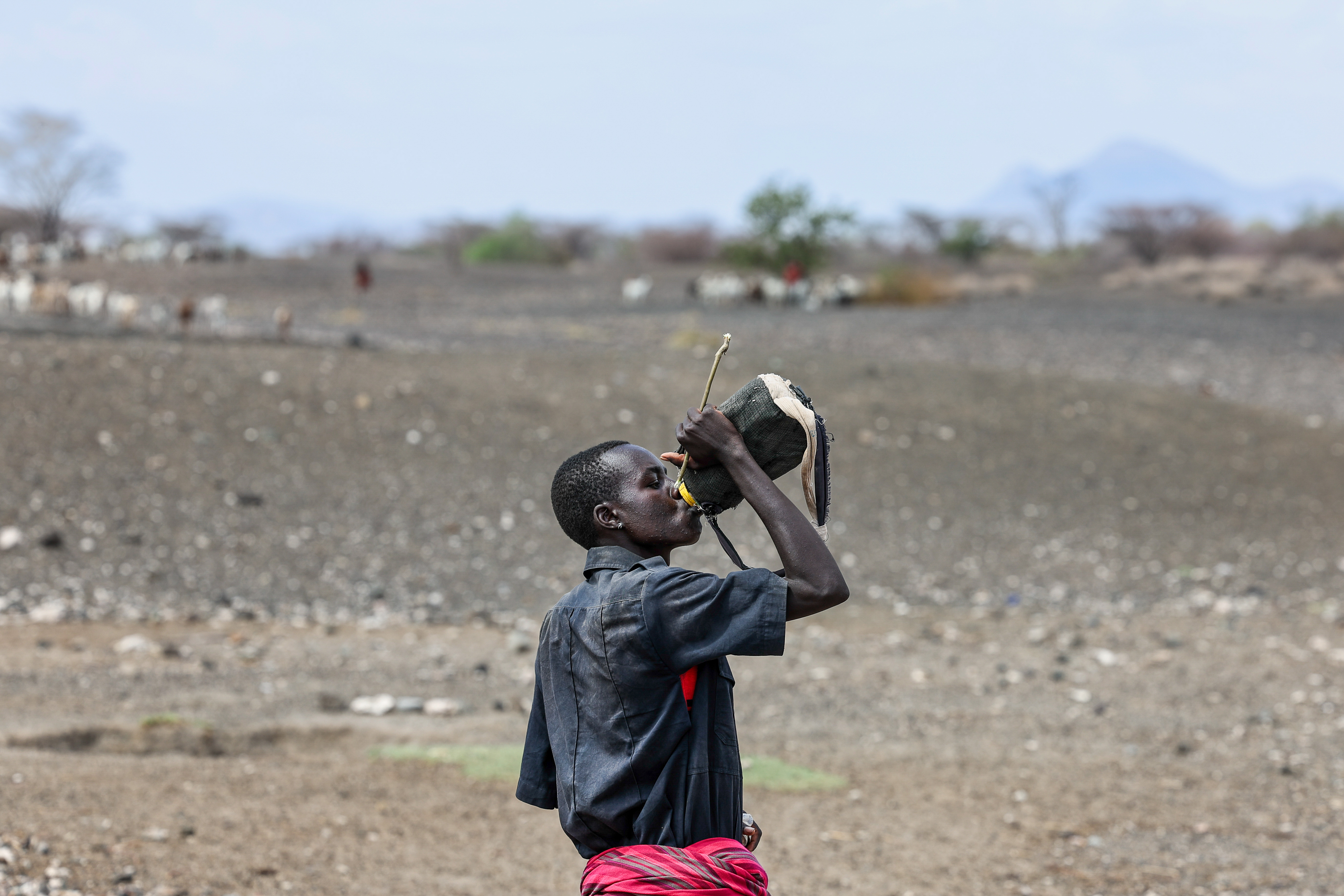 Severe drought leaves over two million Kenyans hungry and desperate
