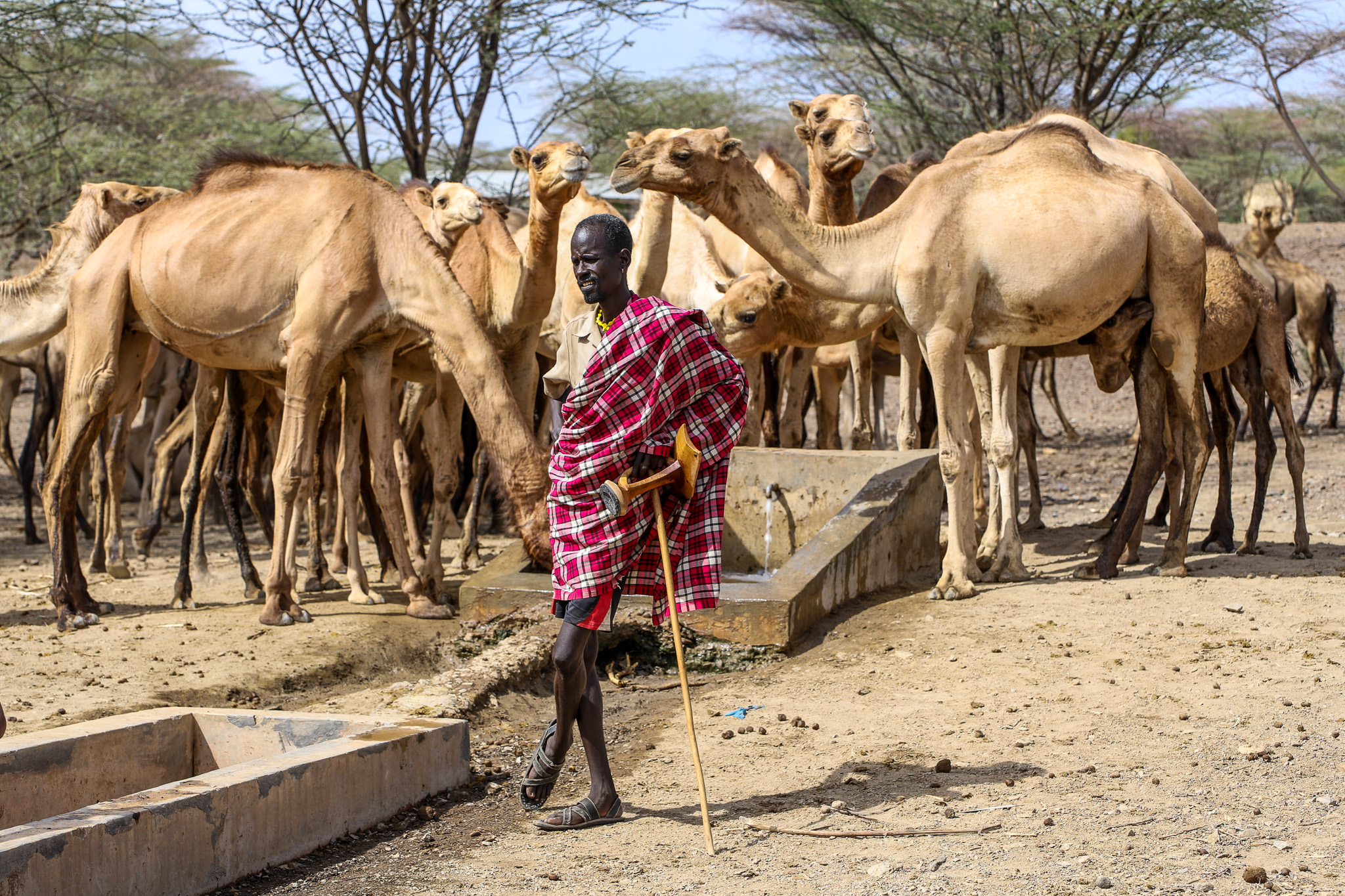 Severe drought leaves over two million Kenyans hungry and desperate
