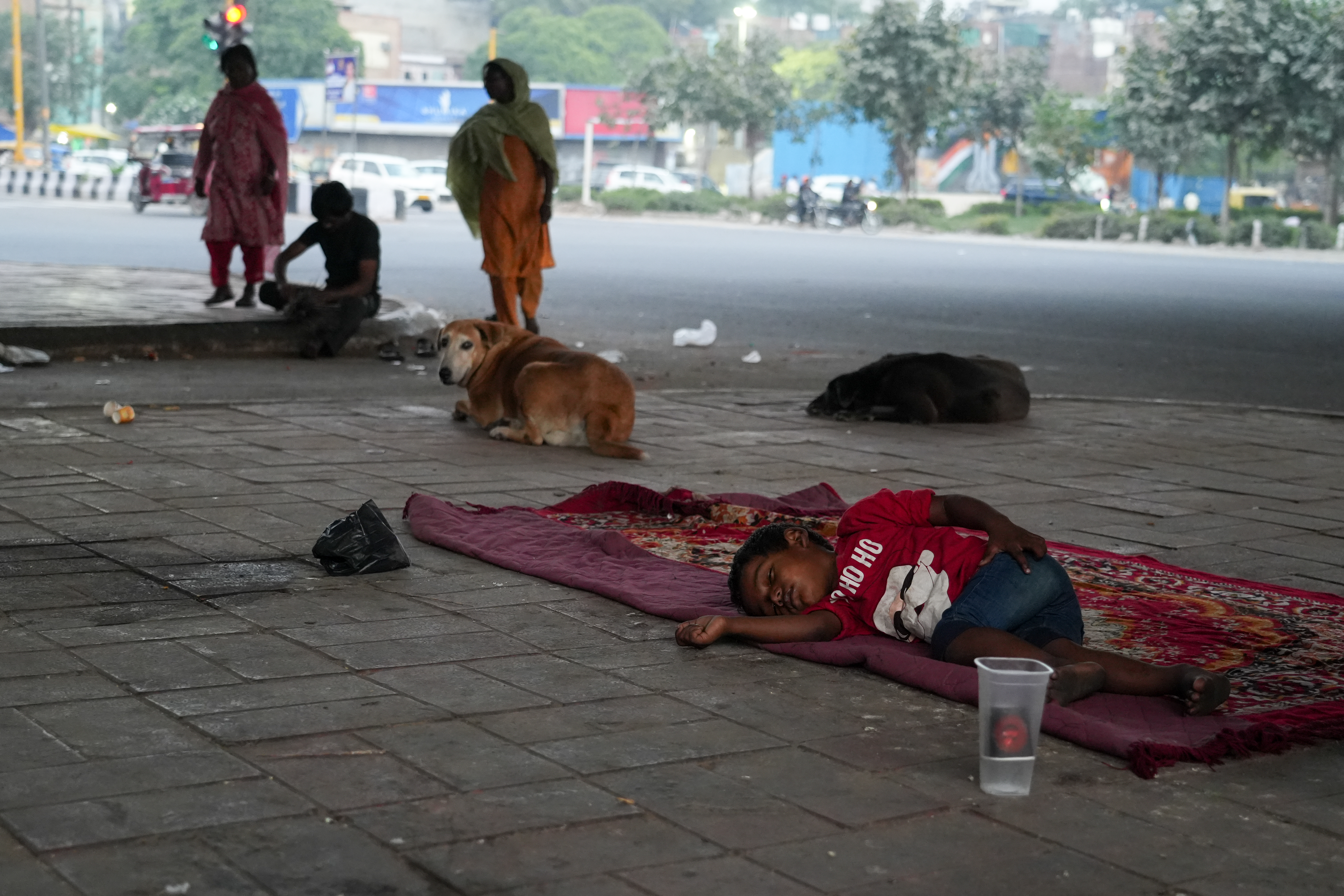 Hamir sleeps in the evening with no safety or shelter, exposed to the harsh streets.Around him, dogs also take rest in the same spot, adding to the risk of bites and infections.Without even a safe corner to call their own, the children are constantly vulnerable to harm and disease. [Mubashir Naik/Al Jazeera]