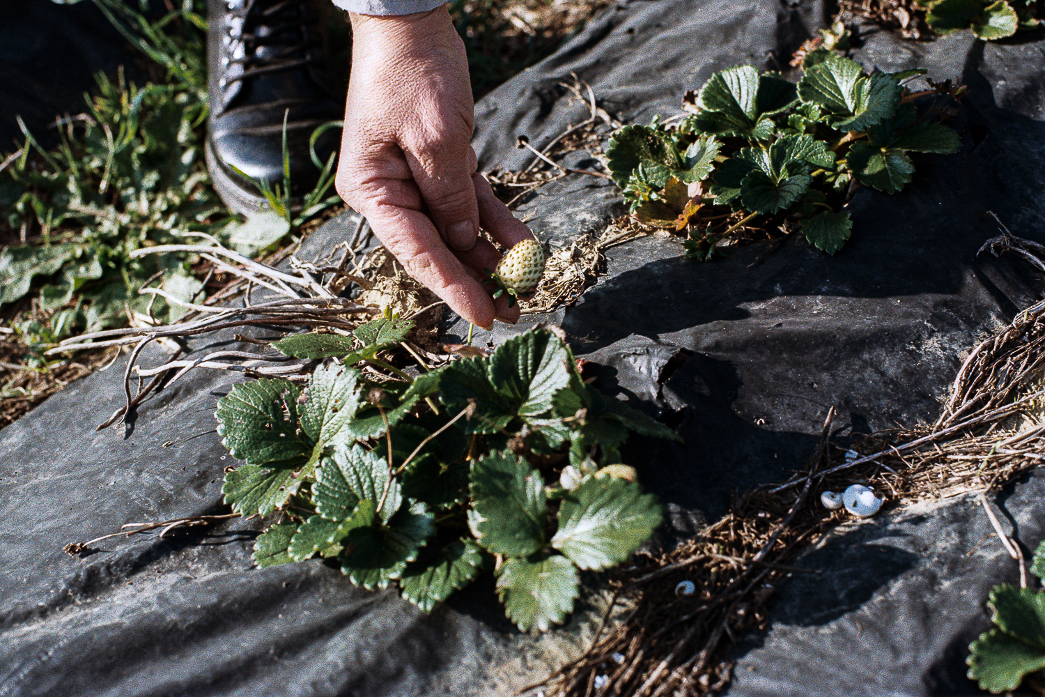 Italy parenting on the margins [Lavinia Nocelli/Al Jazeera]