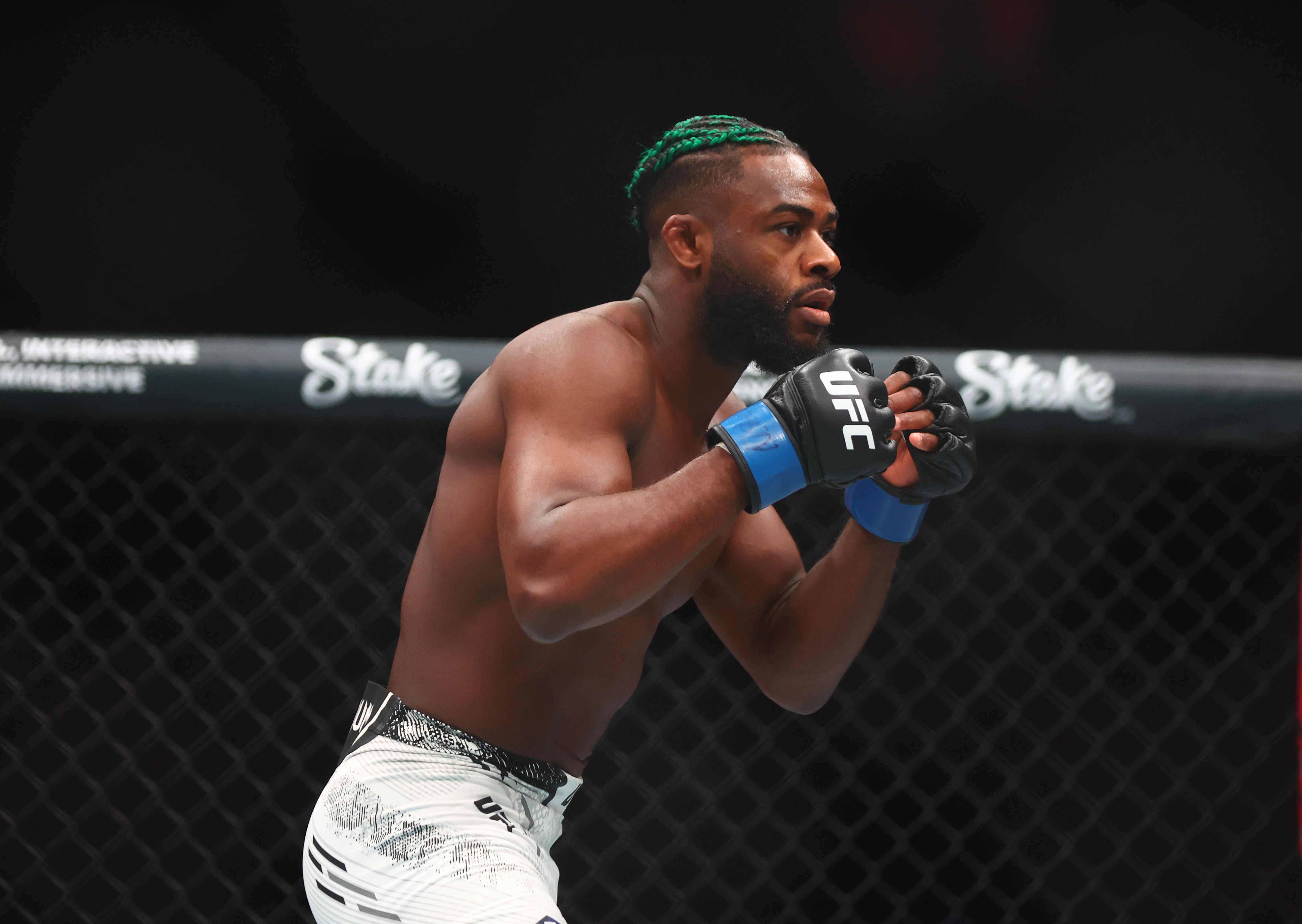 Aljamain Sterling UFC