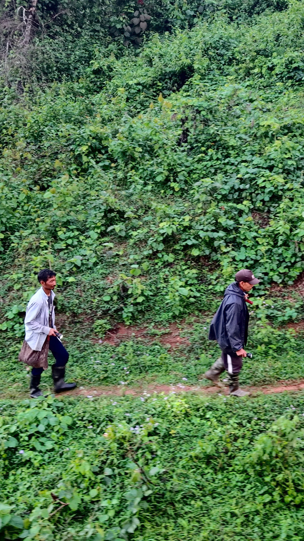 Eddie (R) and Livi head toward the forest edge carrying torches and bamboo containers known as tyndong [Ashutosh Kumar/Al Jazeera]