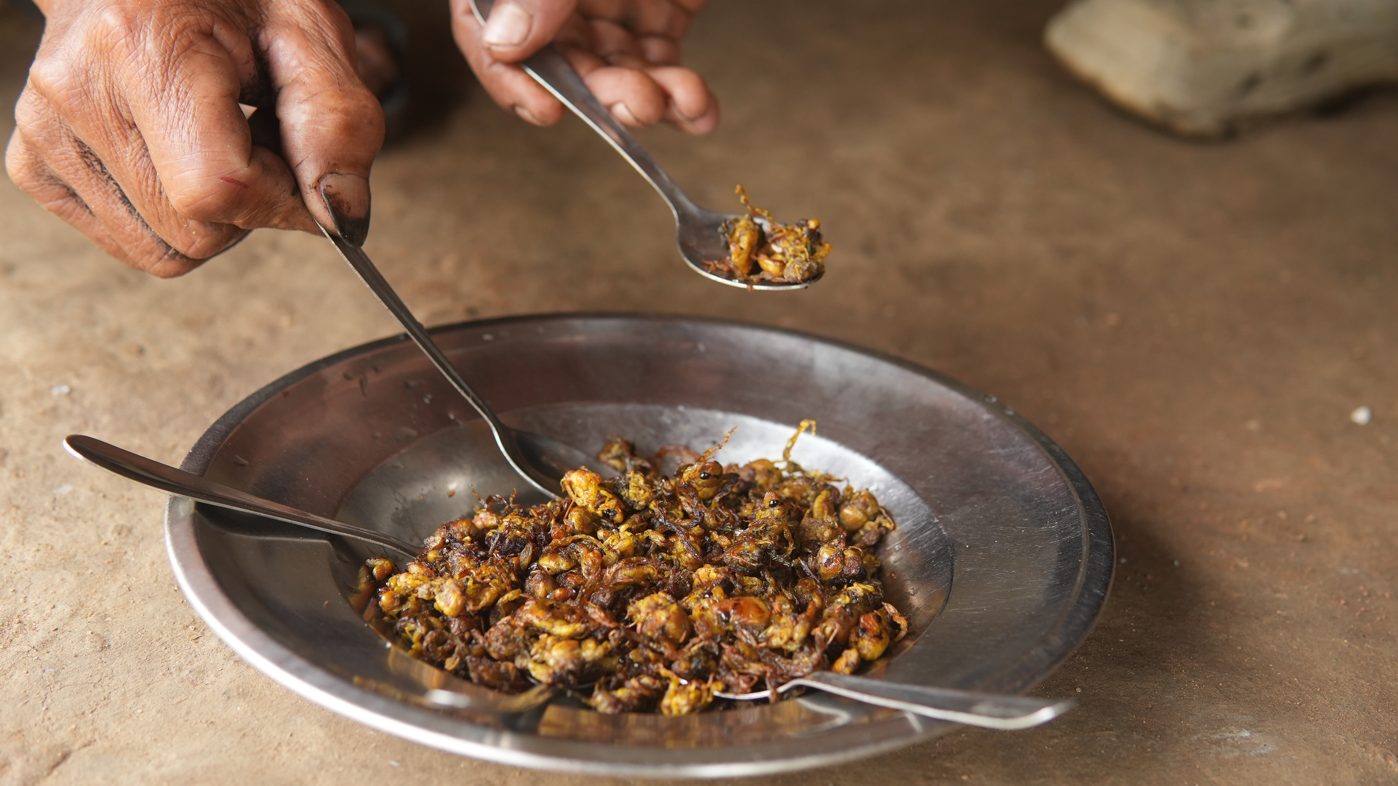 For many families in Saiden, niangtaser are both a seasonal delicacy and an important source of supplementary income