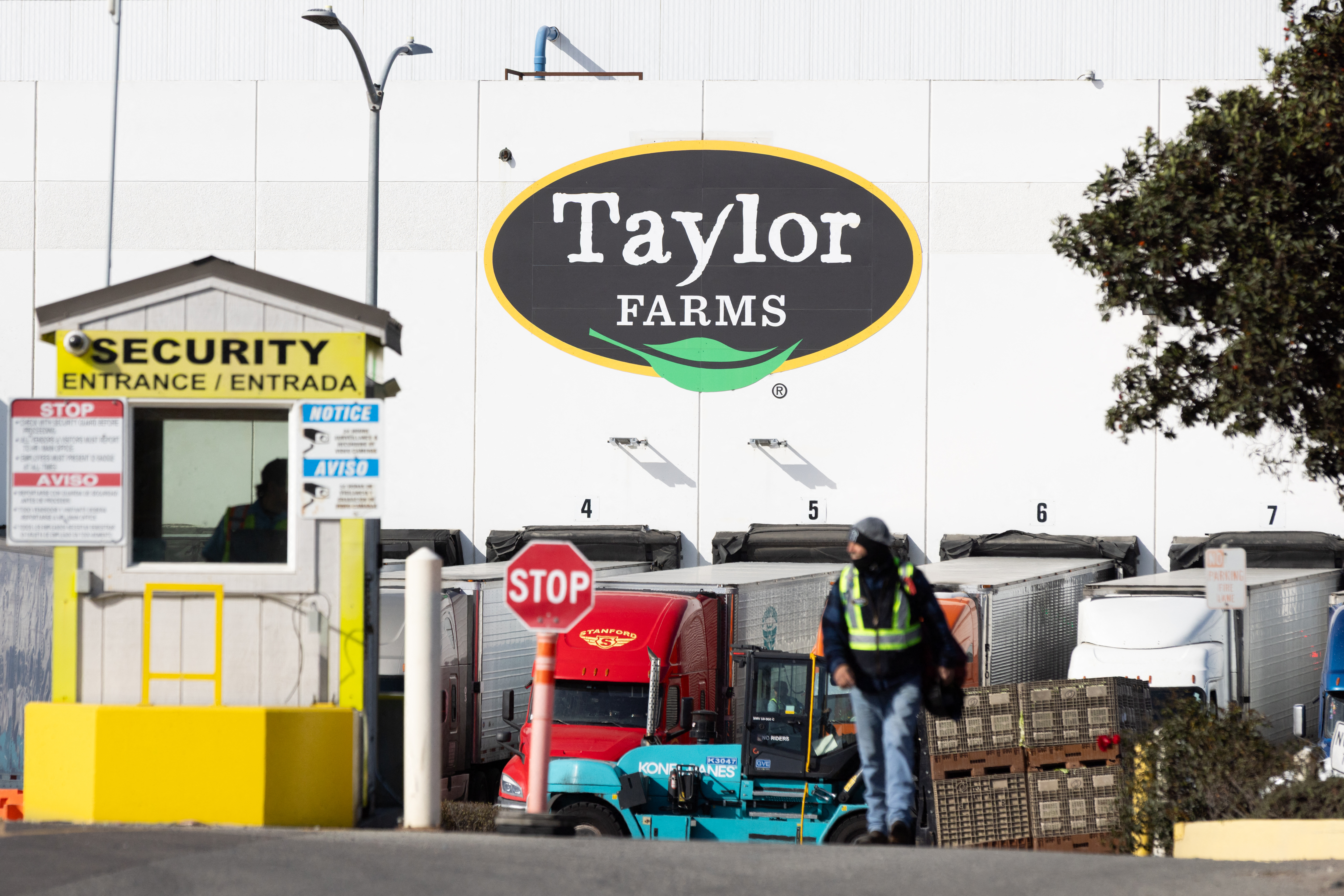 SALINAS, CALIFORNIA - JULY 17: Trucks rest at a Taylor Farms facility on July 17, 2026 in Salinas, California. Taylor Farms, a global fresh produce supplier, is allegedly connected to the recent cyclosporiasis outbreak. Benjamin Fanjoy/Getty Images/AFP (Photo by Benjamin Fanjoy / GETTY IMAGES NORTH AMERICA / Getty Images via AFP)