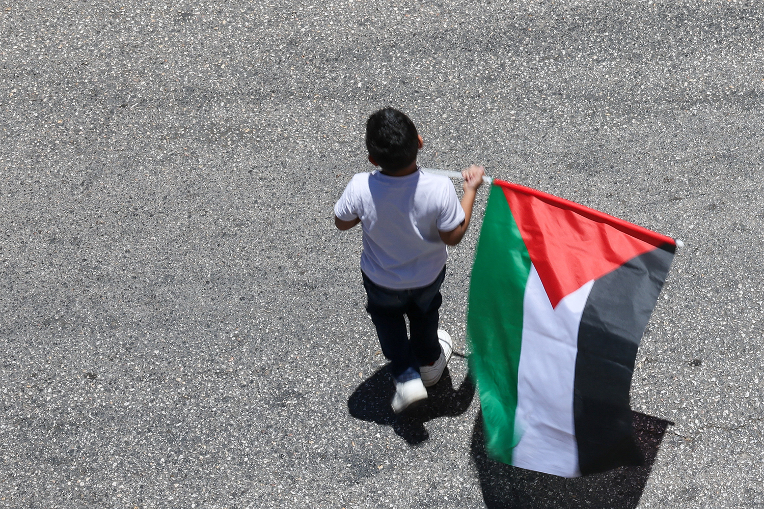 Children hold Palestinian flags,