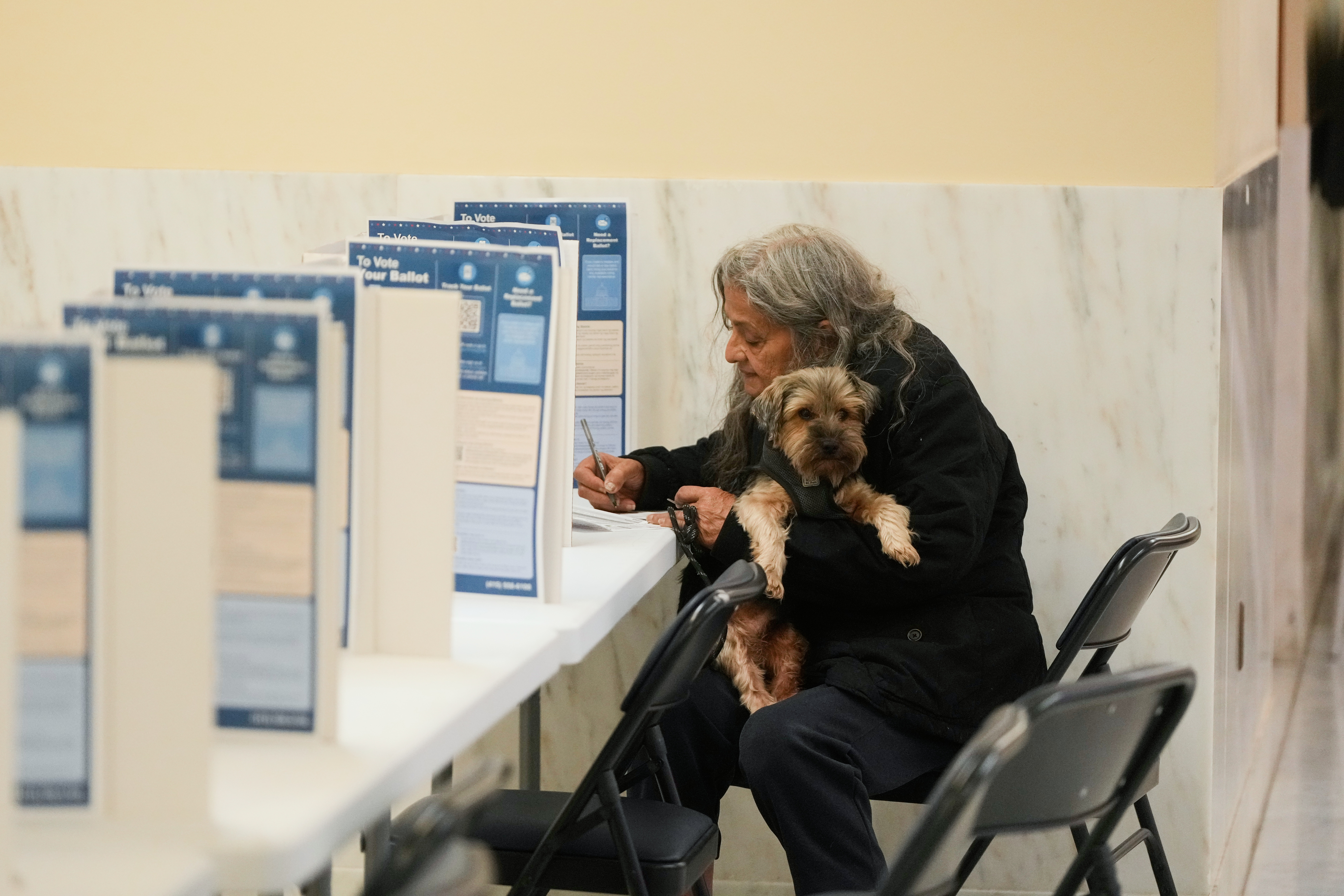 Carmen Sandoval holds her dog Peluche as she votes in the California primary election at City Hall on Tuesday, June 2, 2026, in San Francisco. (AP Photo/Jeff Chiu)