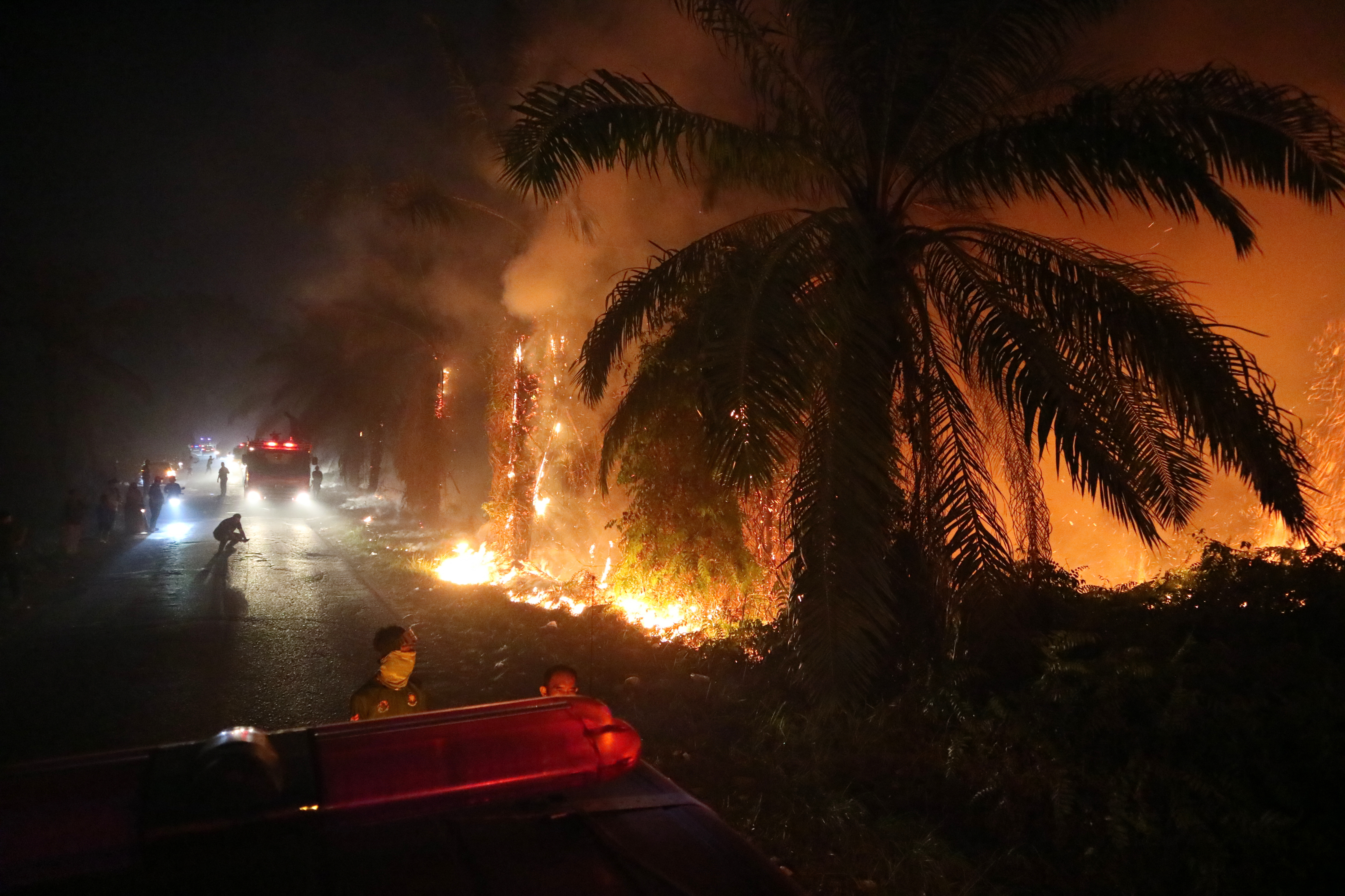 Indonesia battles haze as wildfires rage across South Sumatra forests