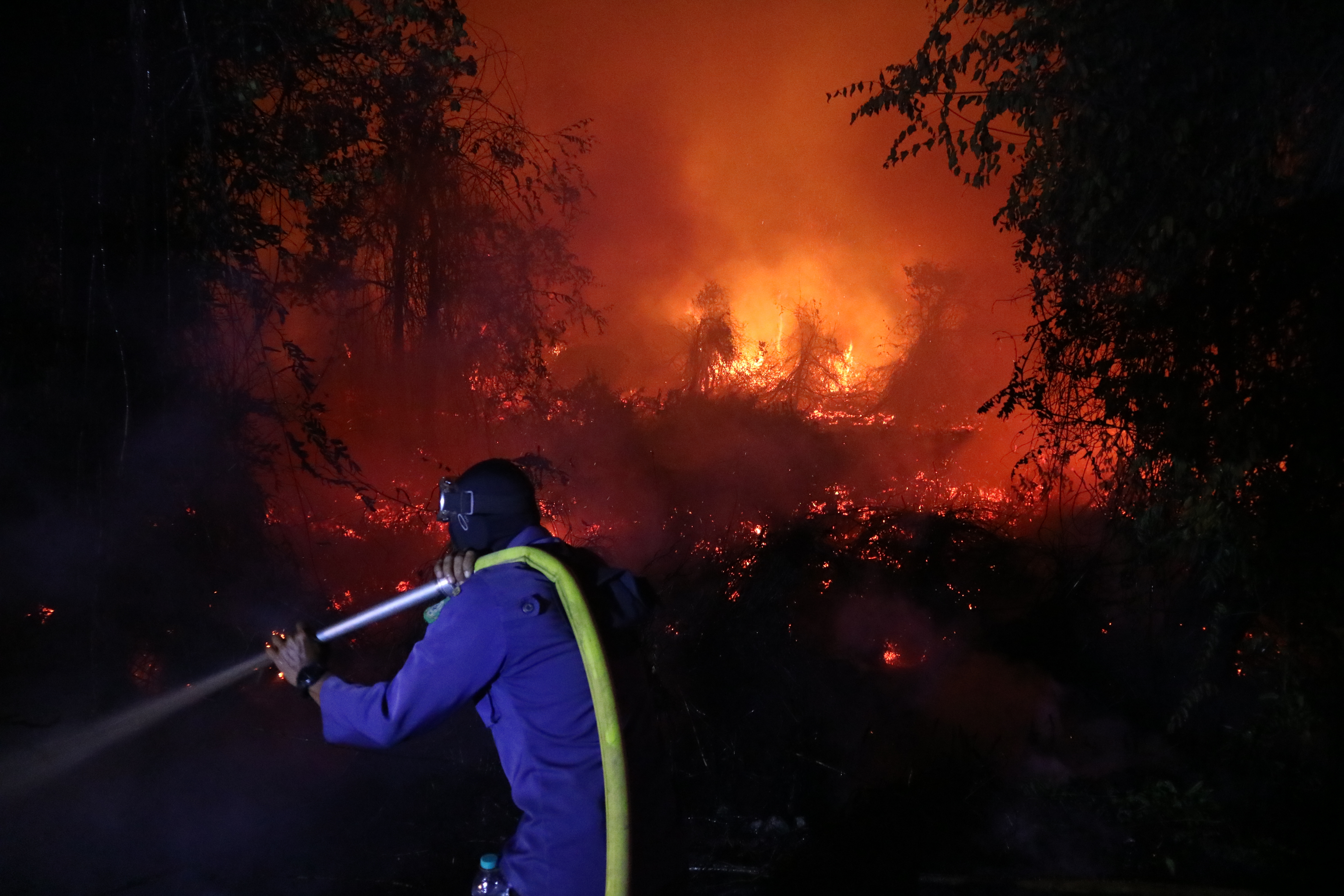 A firefighter attempts to extinguish a wildfire.