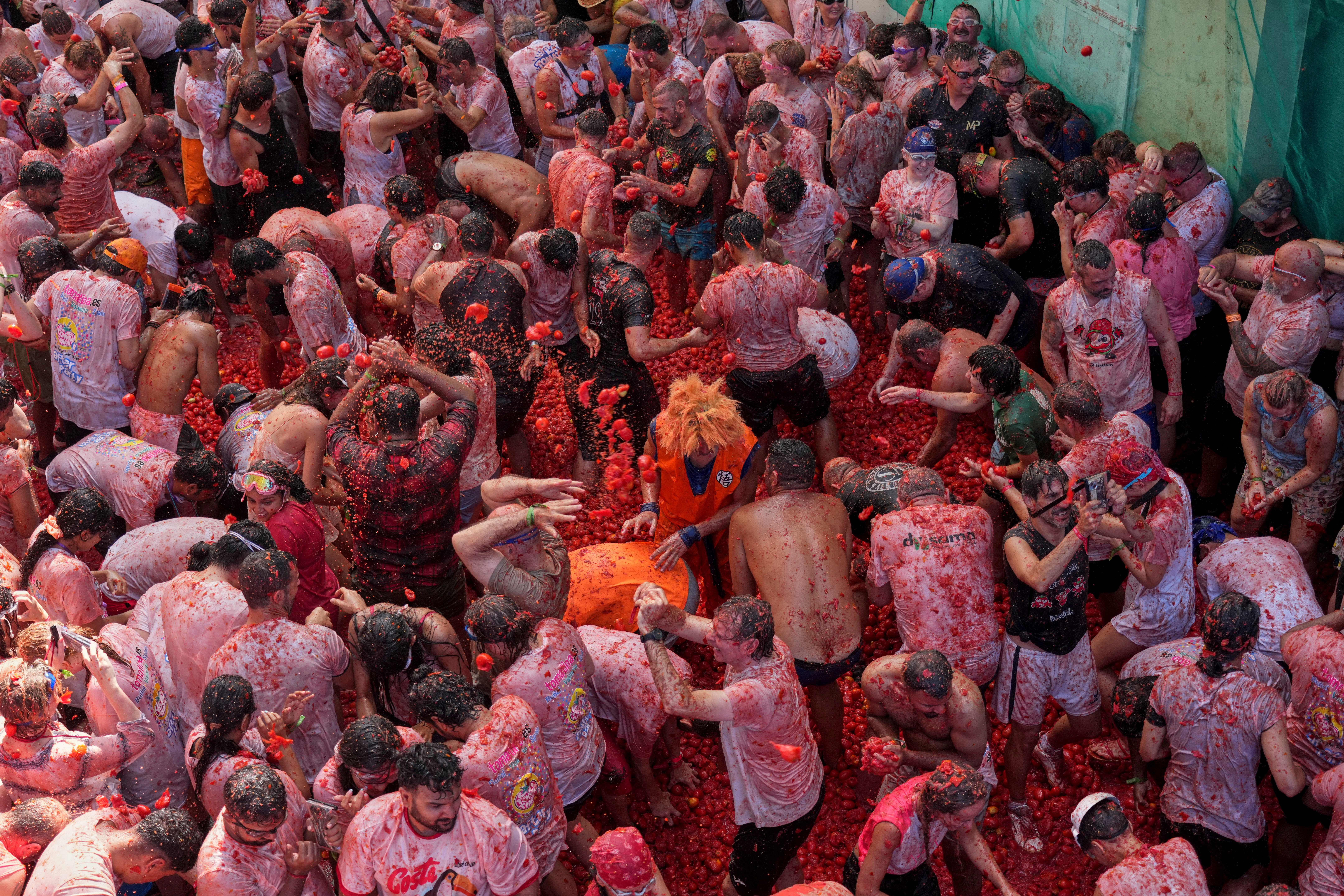 Thousands join Spain's La Tomatina festival for epic tomato battle