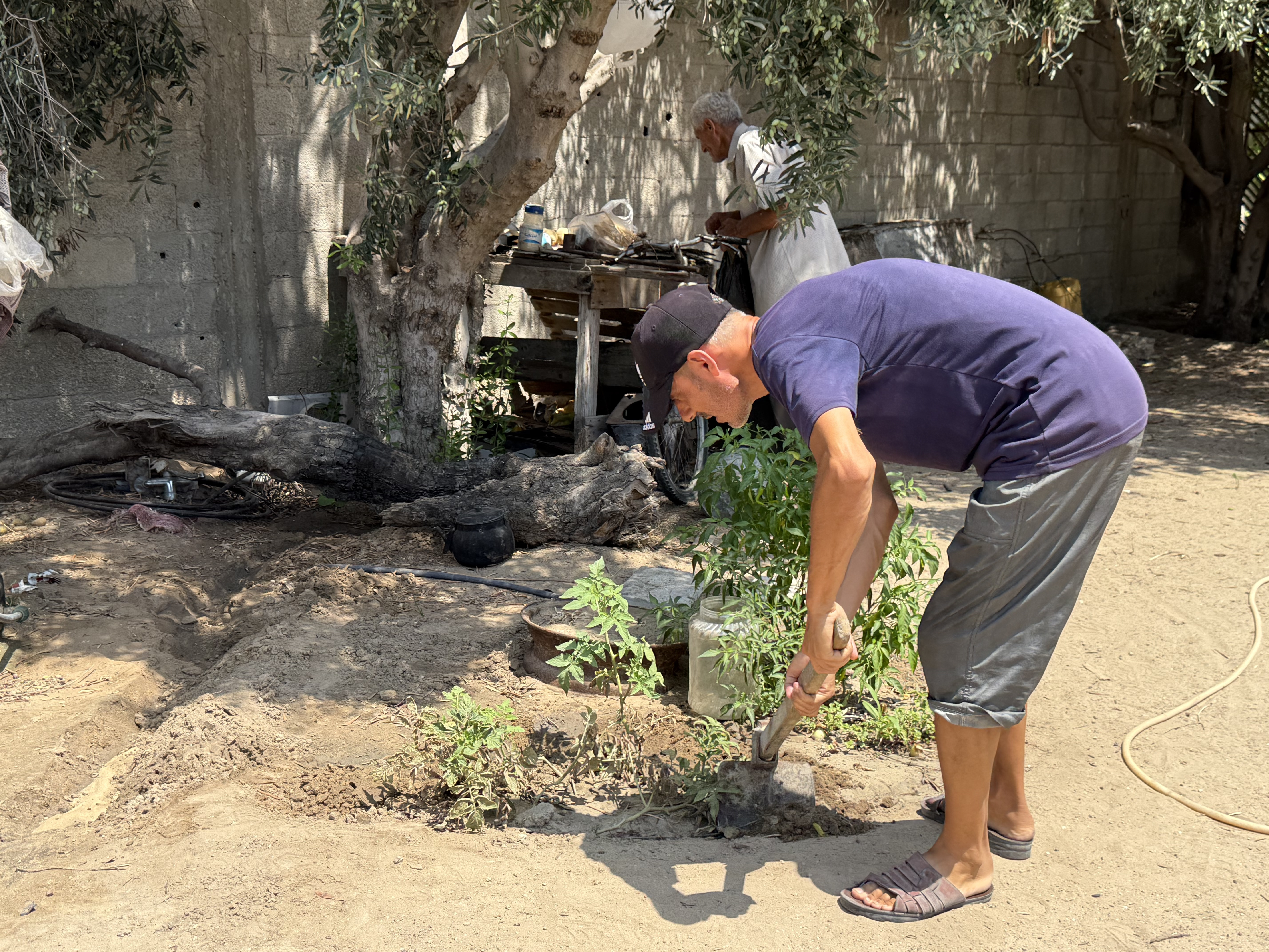 Farmers work on a patch of land in Gaza [Eman Abu Zayed]